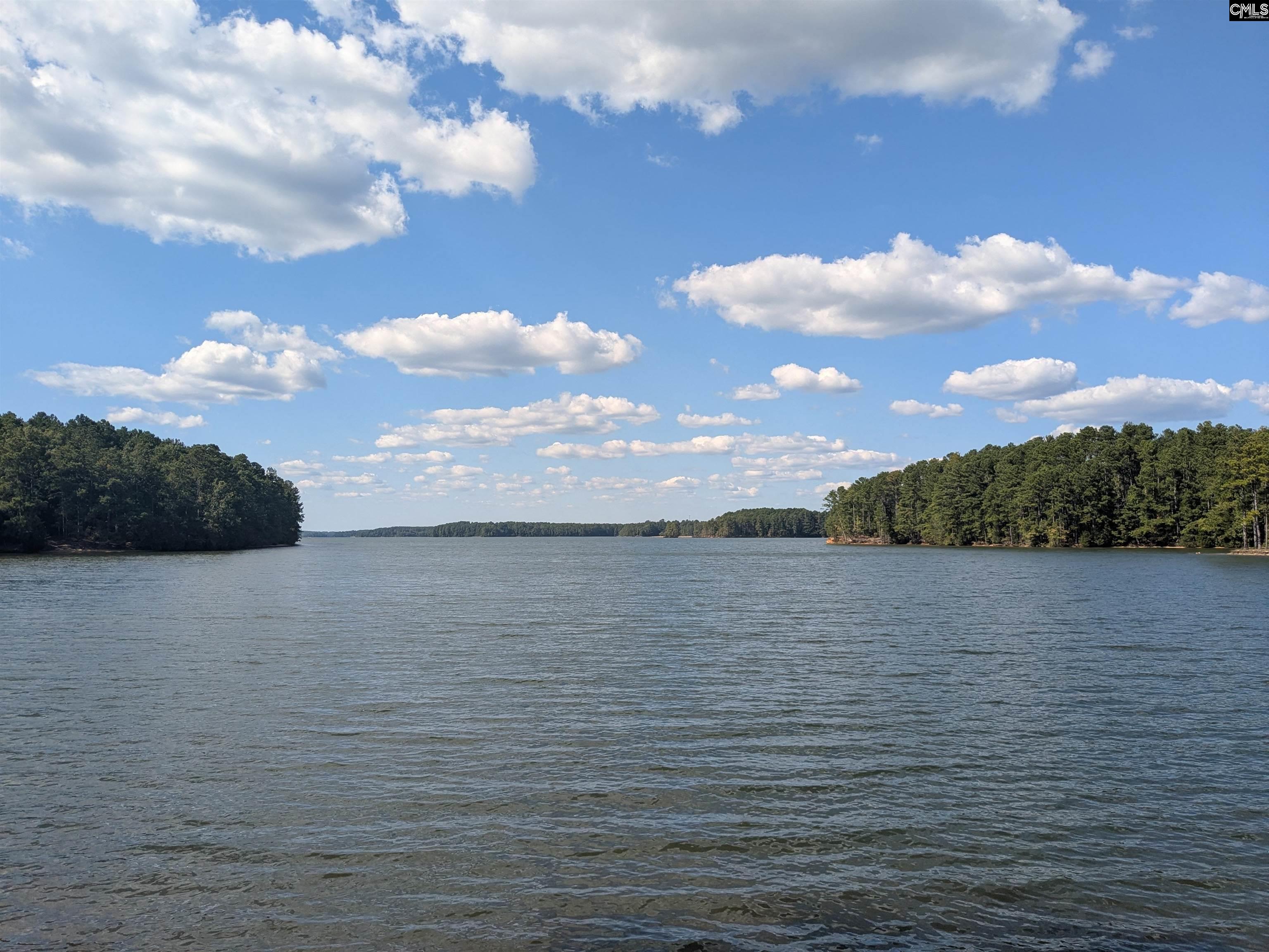 Lakeview Drive Jenkinsville, SC 29065