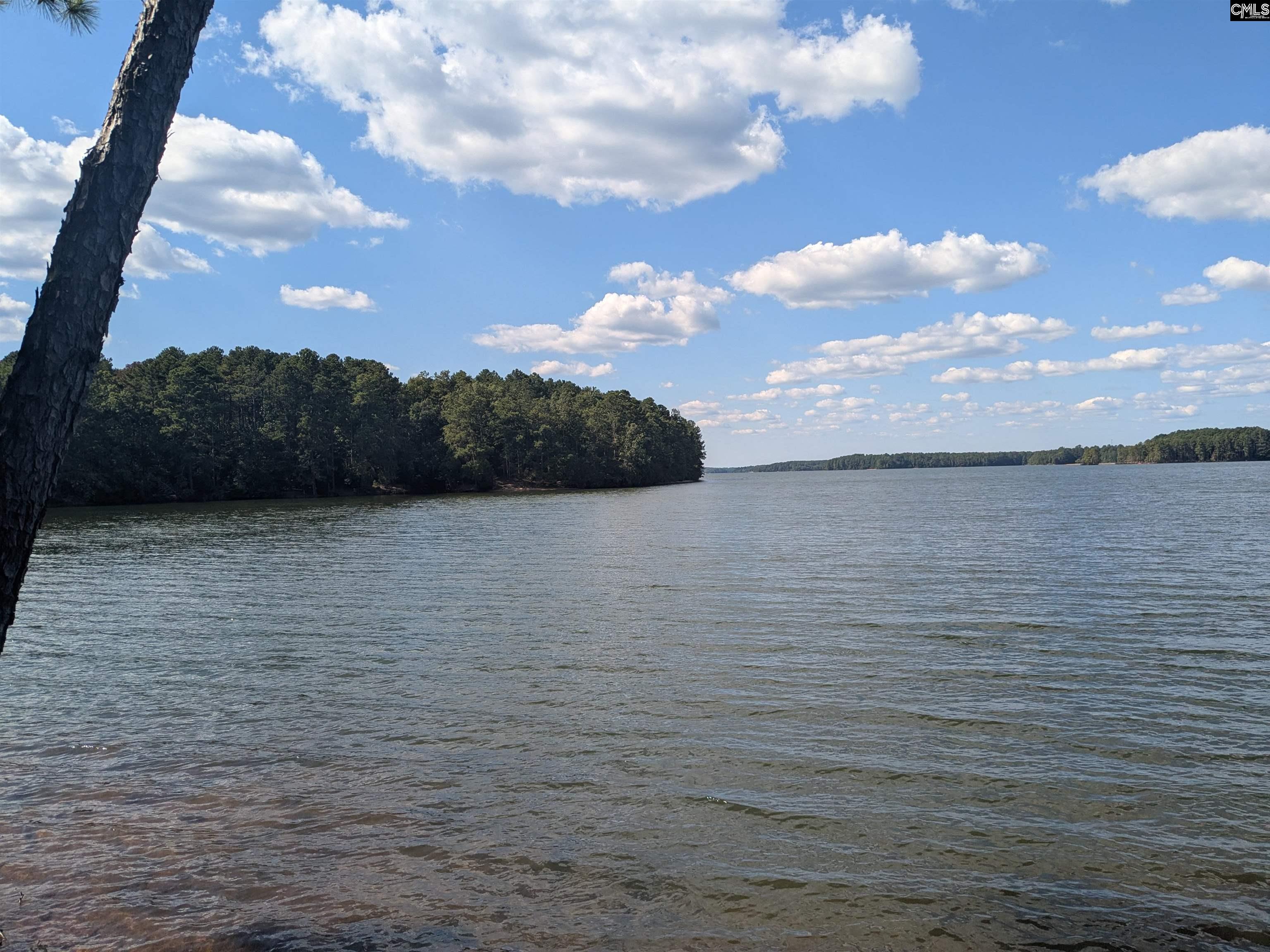 Lakeview Drive Jenkinsville, SC 29065