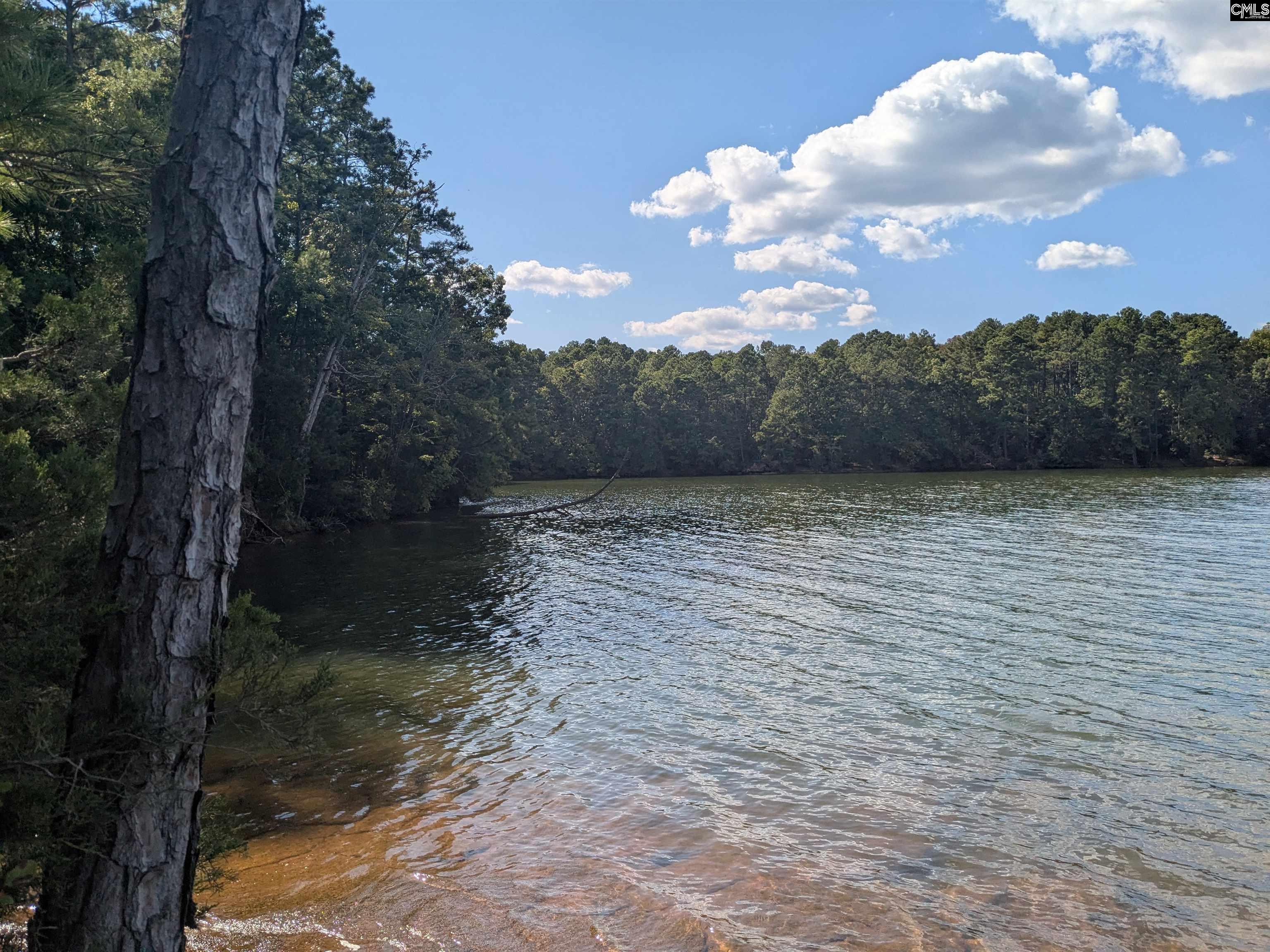Lakeview Drive Jenkinsville, SC 29065