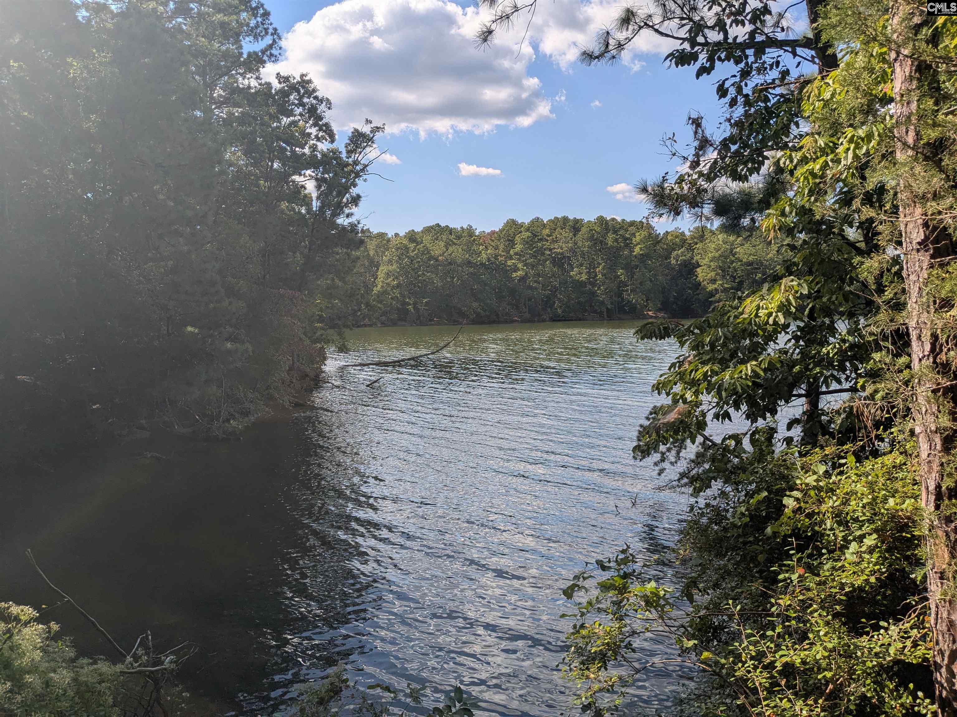 Lakeview Drive Jenkinsville, SC 29065