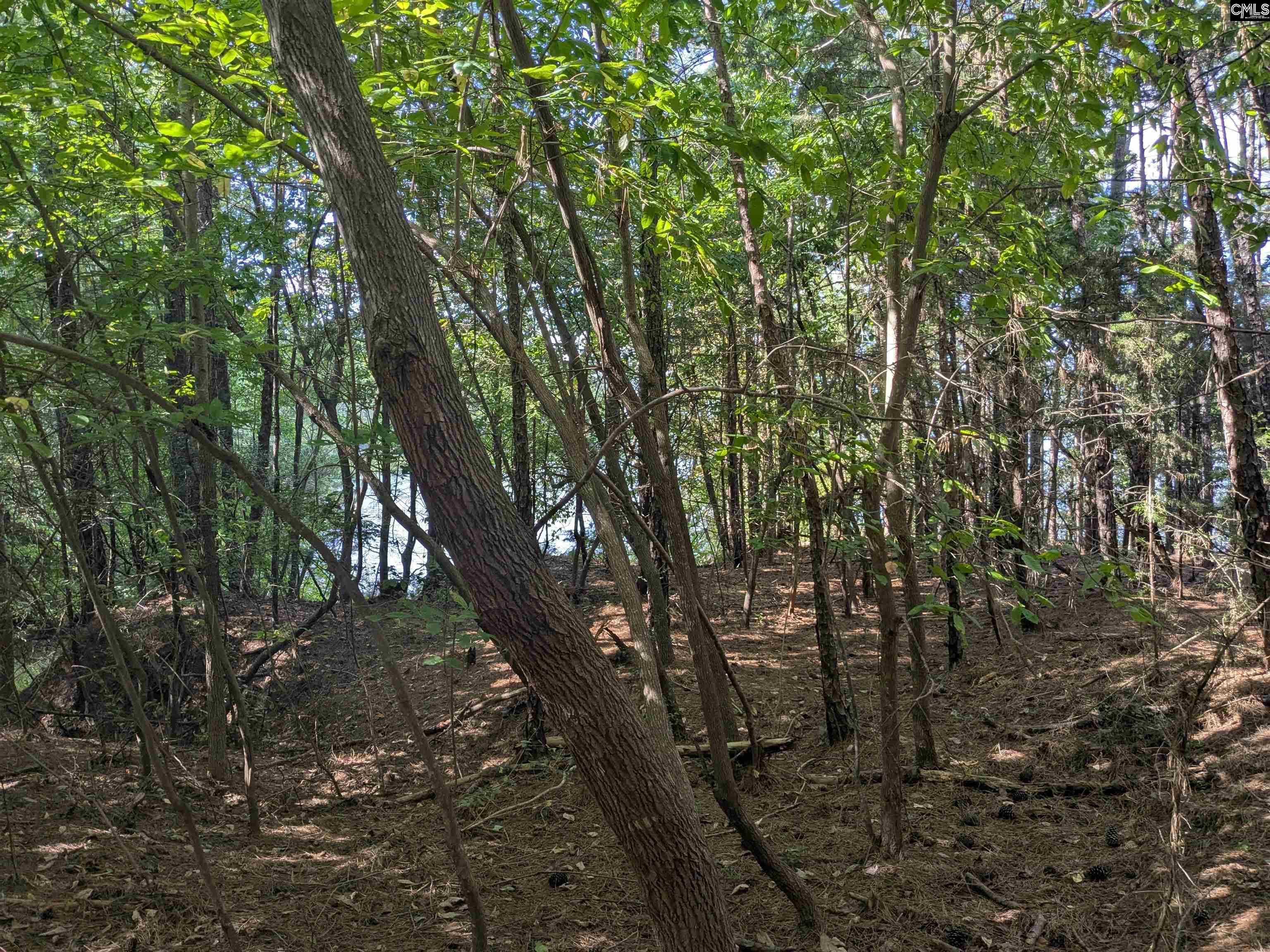 Lakeview Drive Jenkinsville, SC 29065