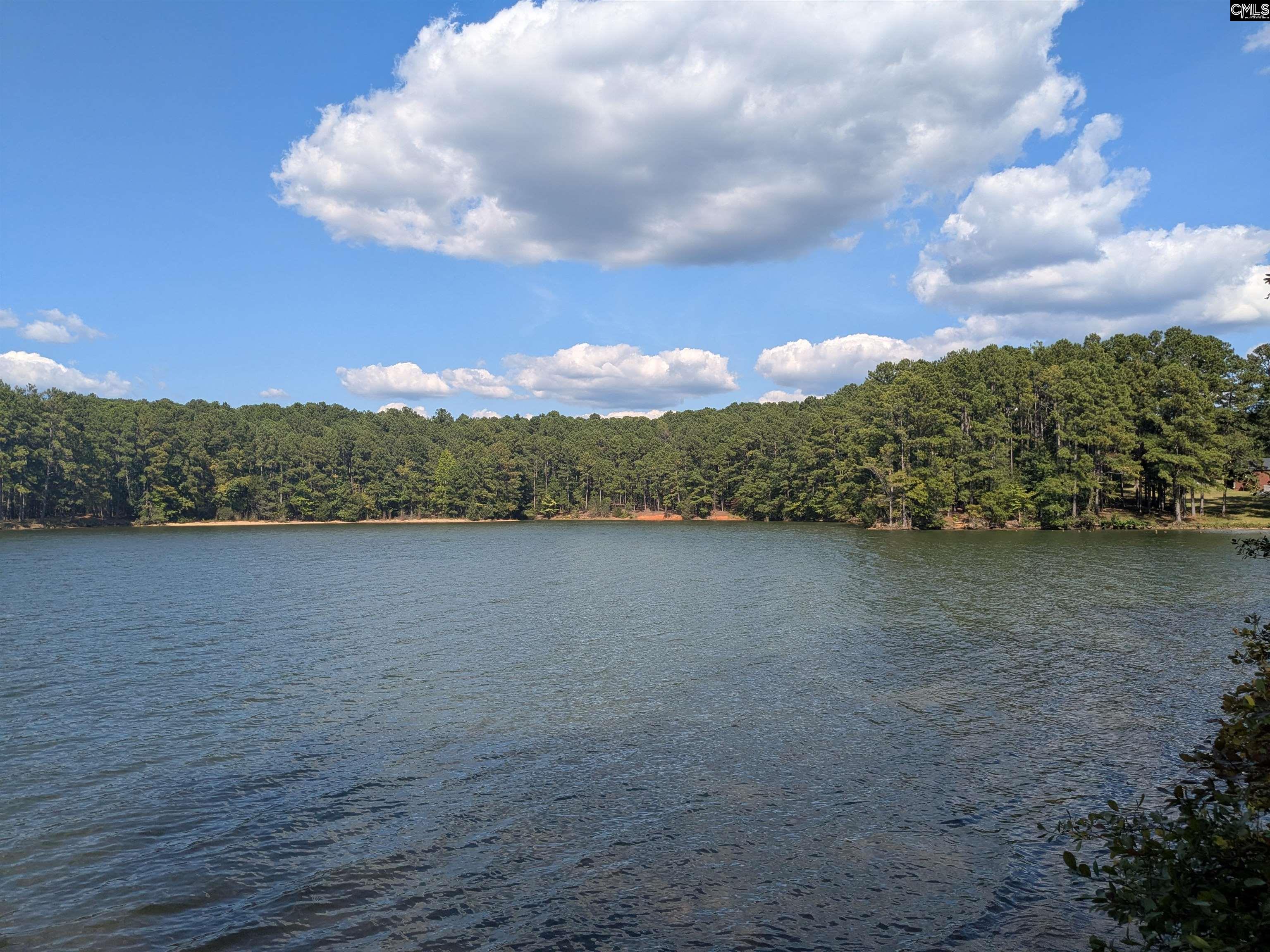 Lakeview Drive Jenkinsville, SC 29065