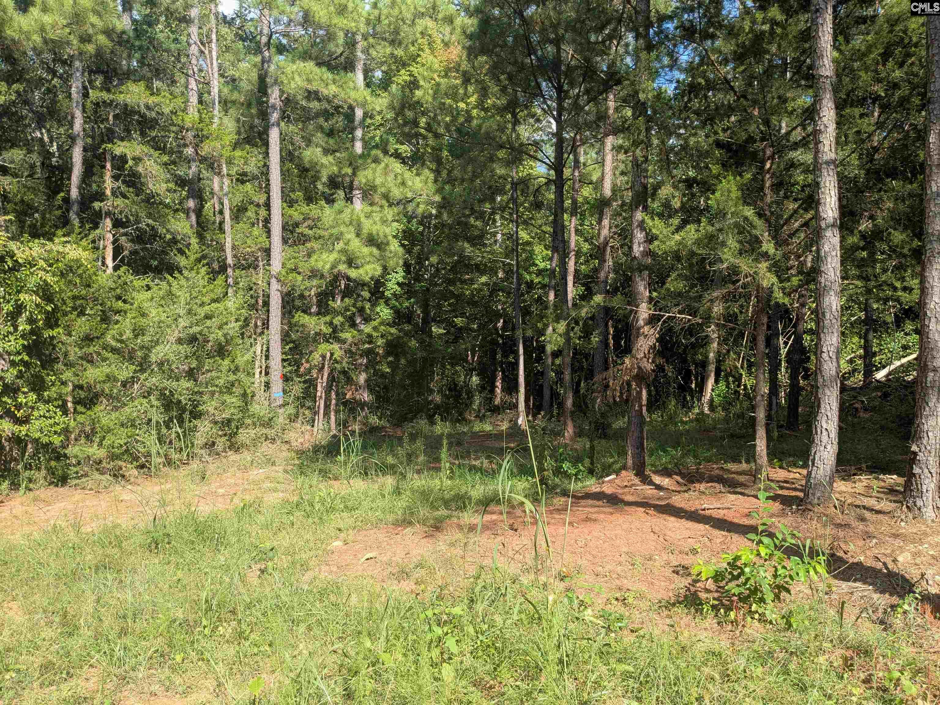 Lakeview Drive Jenkinsville, SC 29065