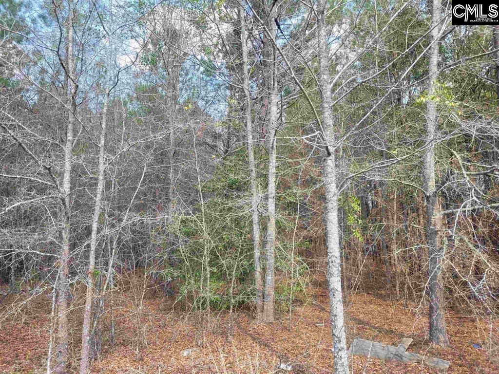 239 House Road Eastover, SC 29044
