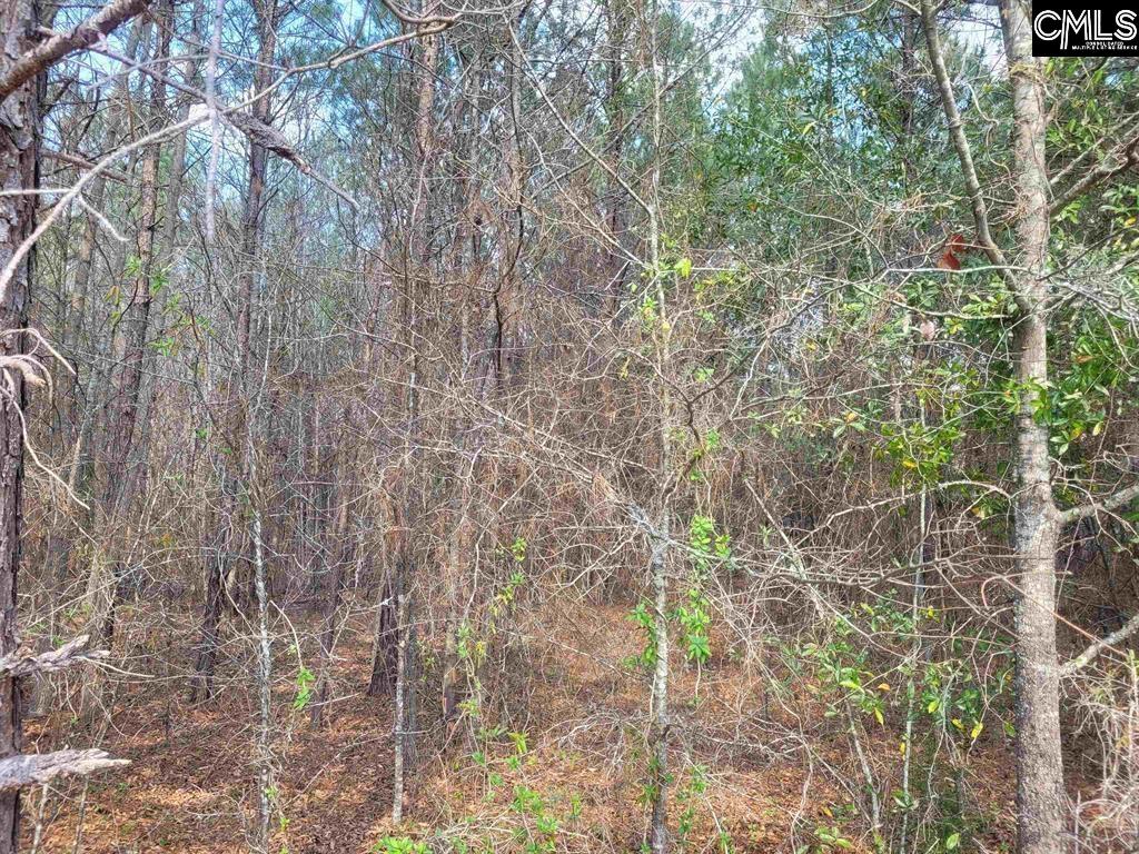 239 House Road Eastover, SC 29044