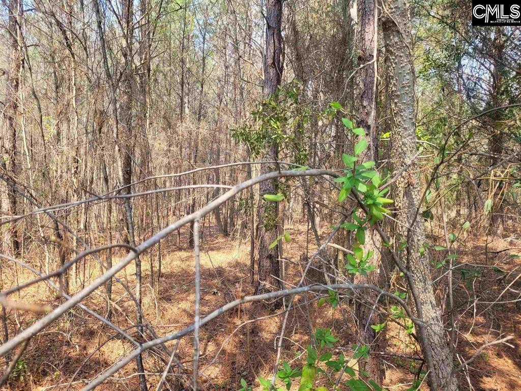239 House Road Eastover, SC 29044