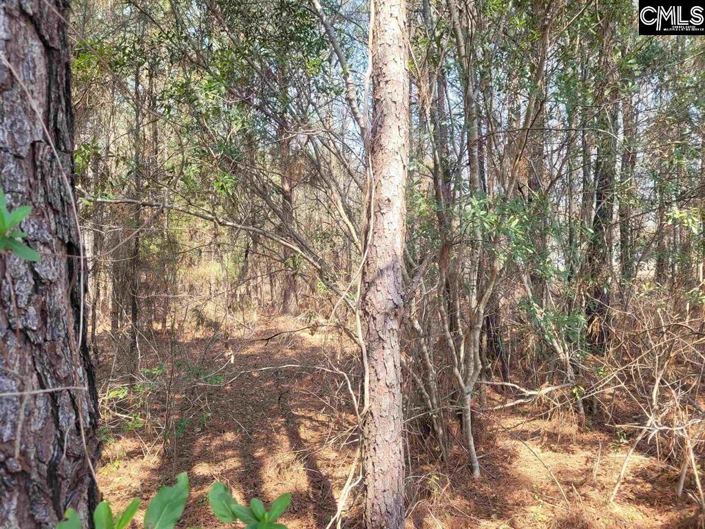 239 House Road Eastover, SC 29044