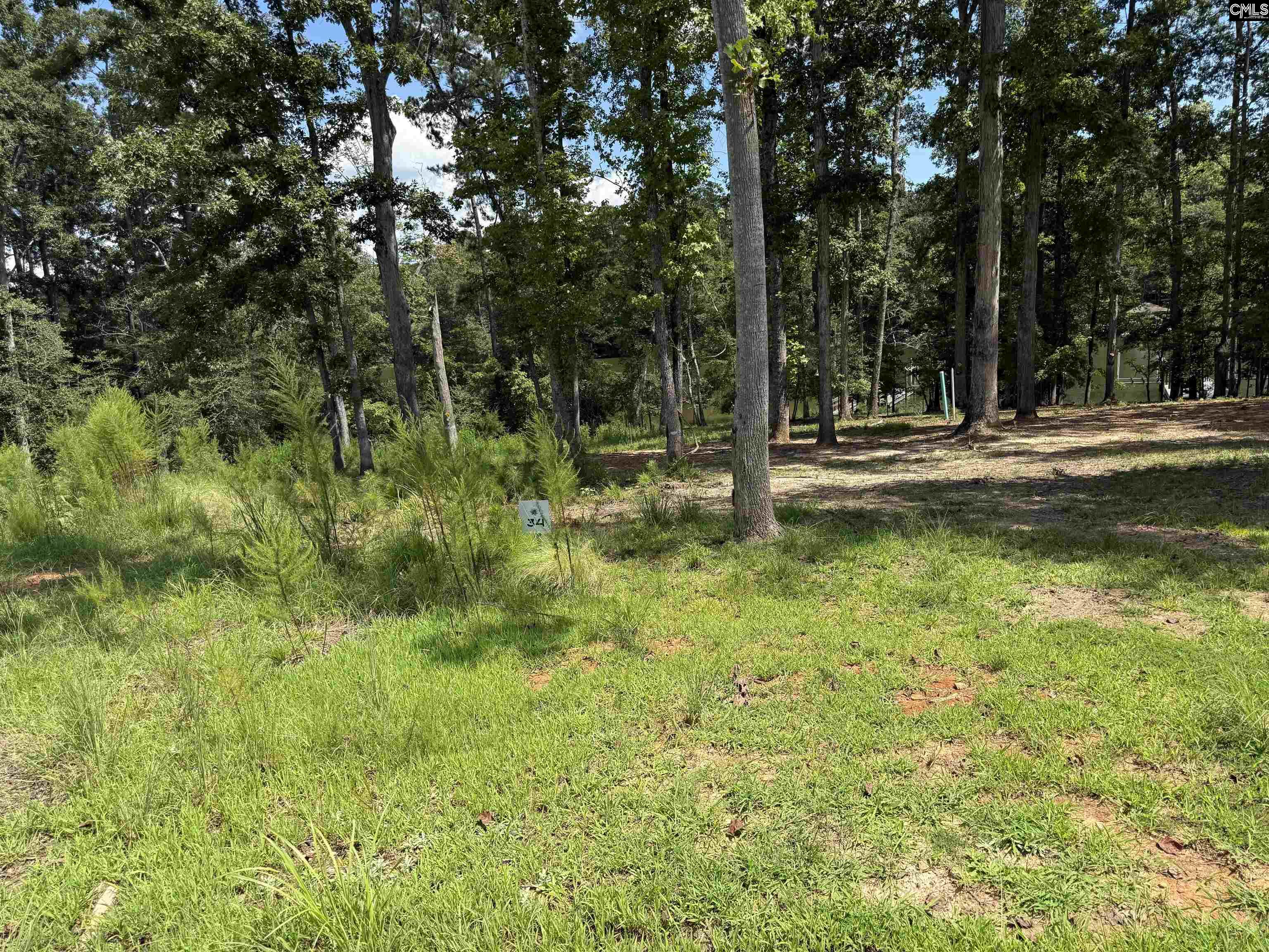 Lot 34 Shoreview Drive UNIT #34 Prosperity, SC 29127