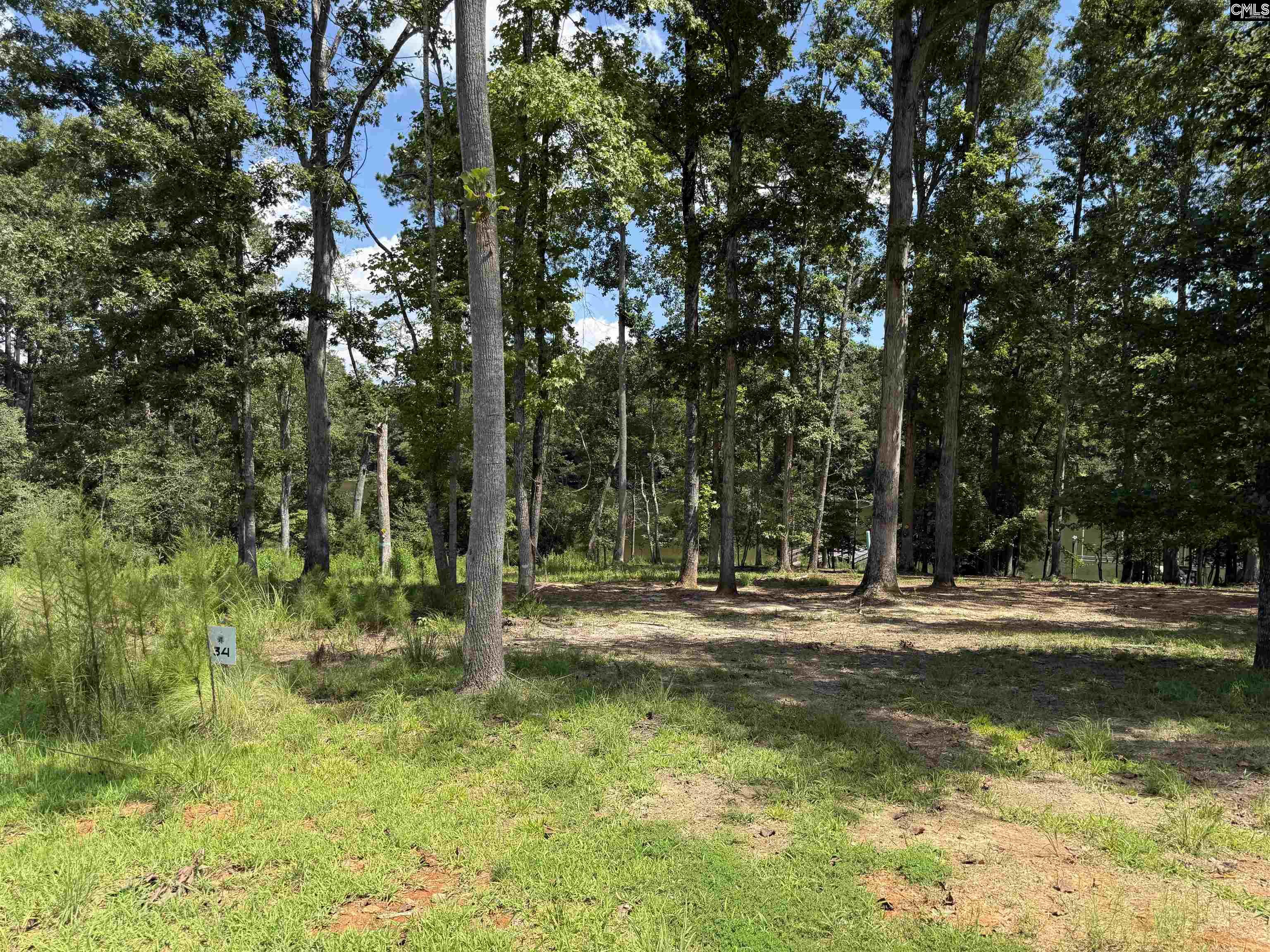 Lot 34 Shoreview Drive UNIT #34 Prosperity, SC 29127