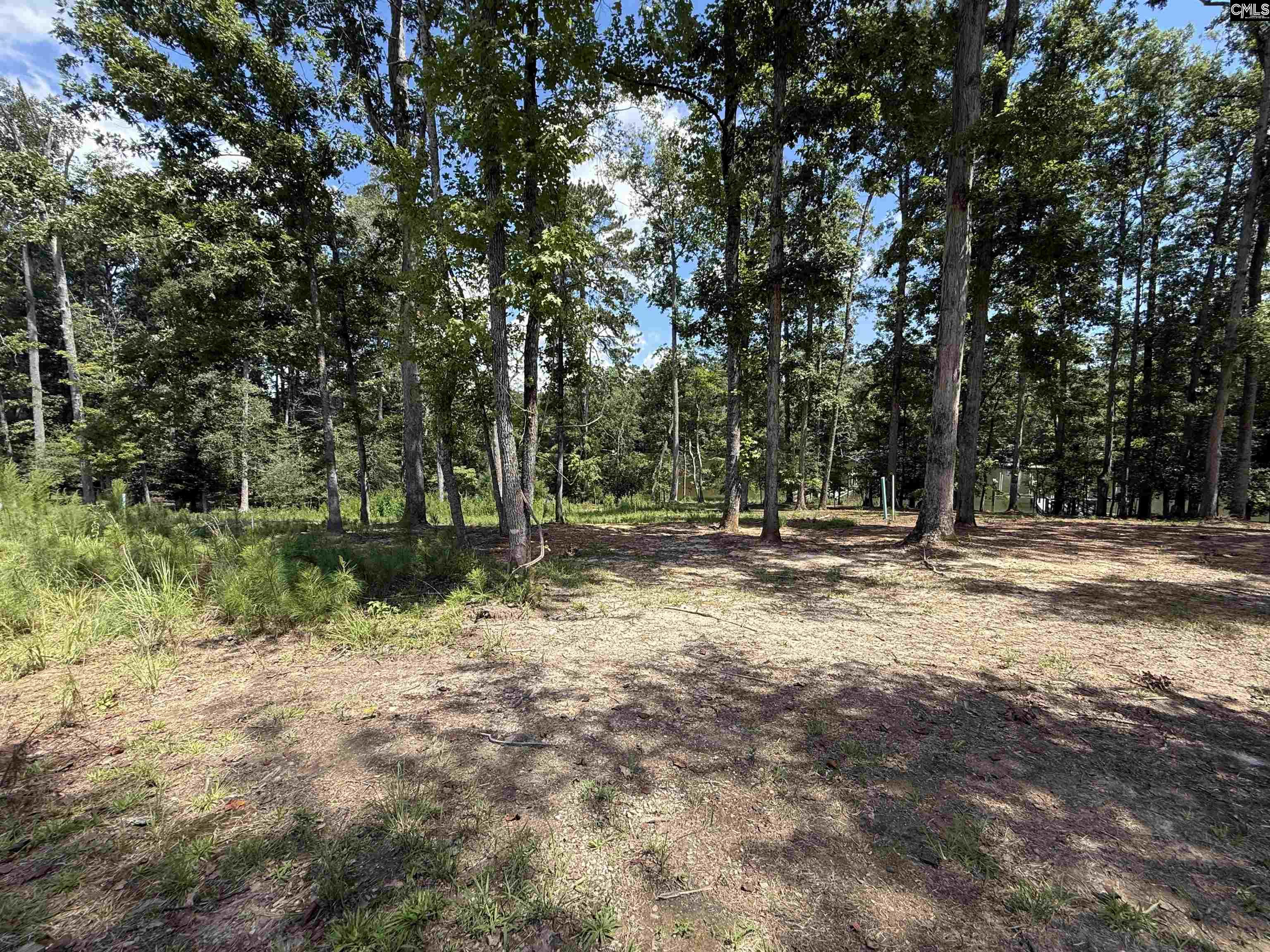 Lot 34 Shoreview Drive UNIT #34 Prosperity, SC 29127