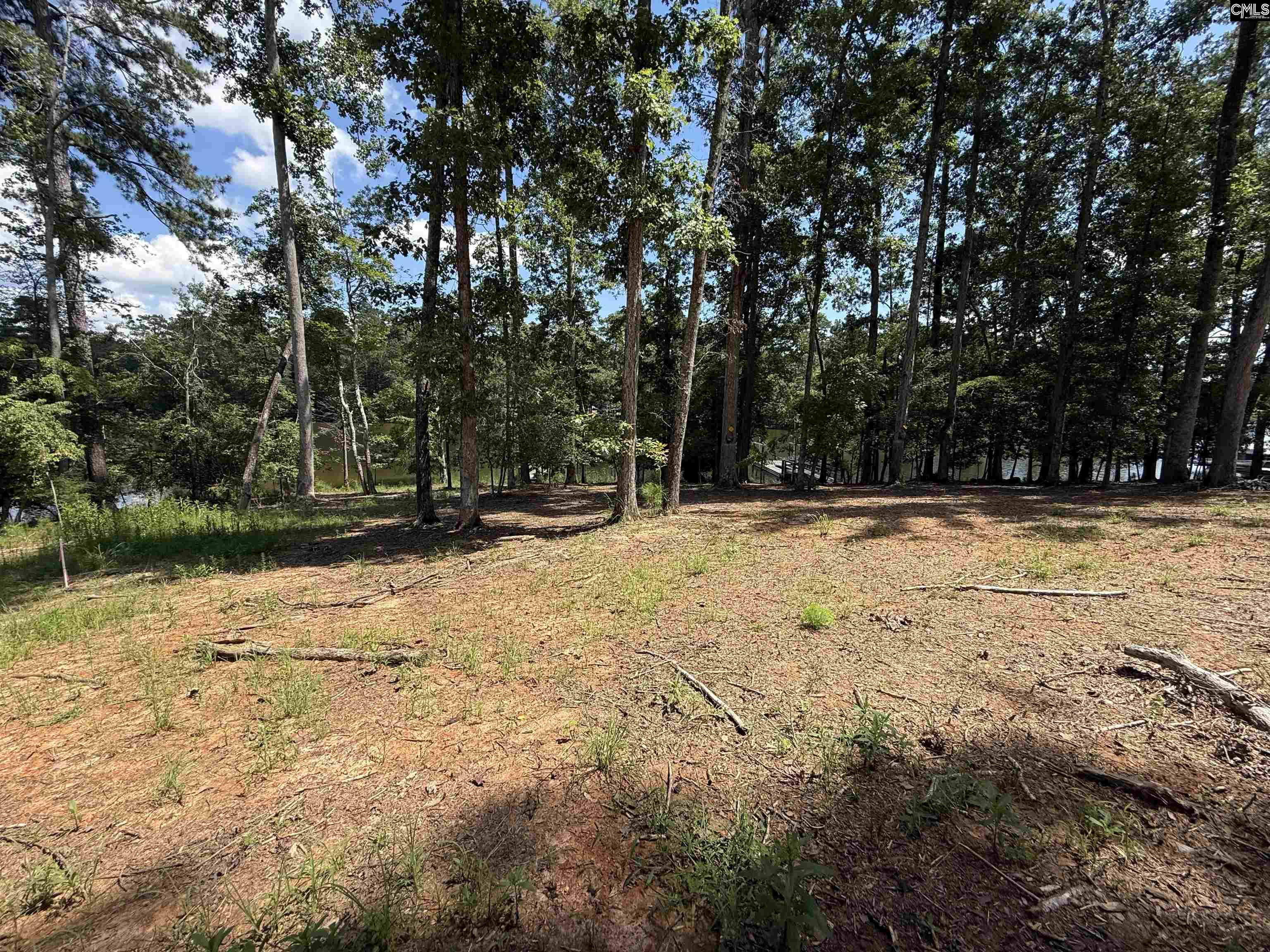 Lot 34 Shoreview Drive UNIT #34 Prosperity, SC 29127