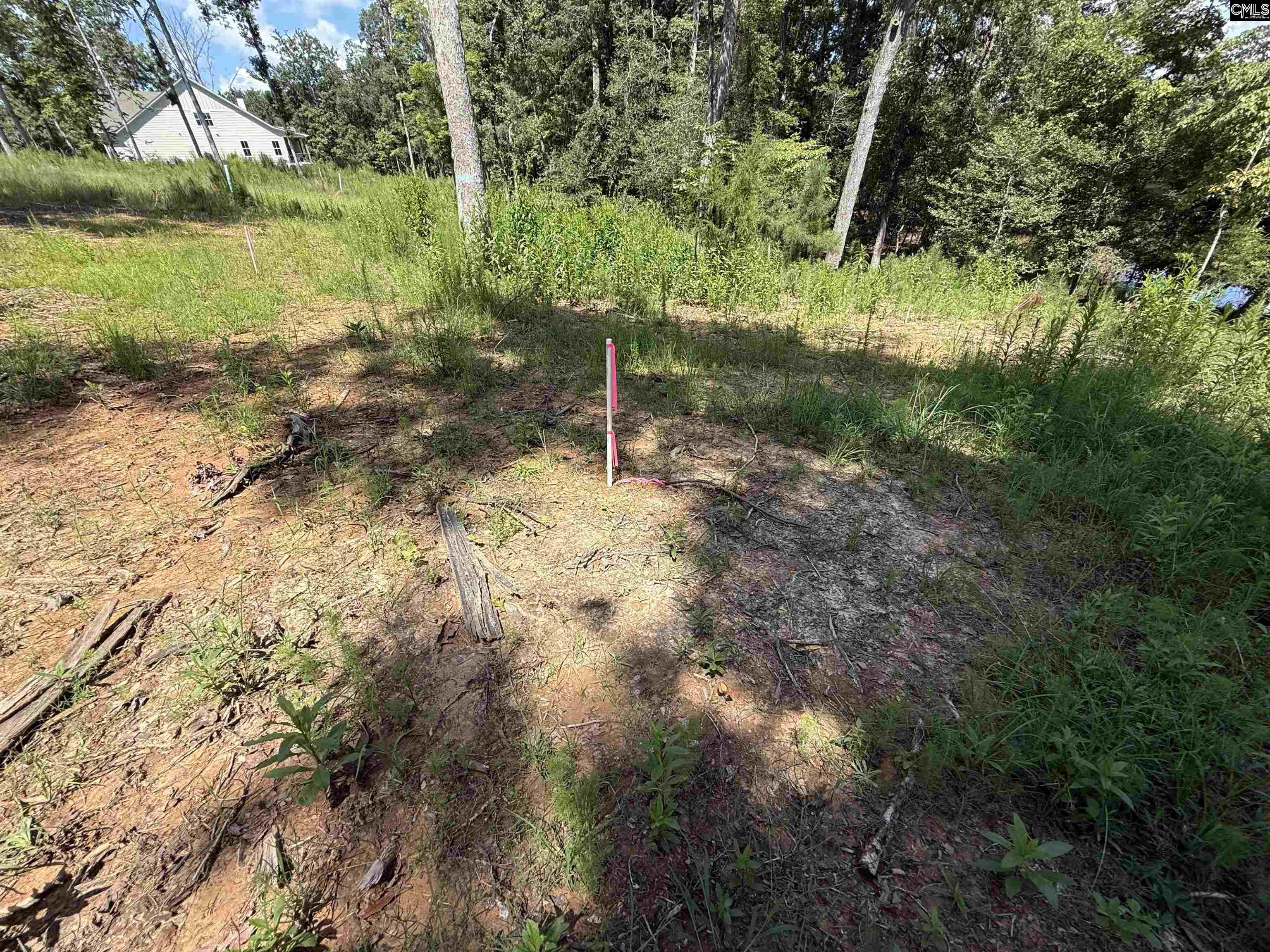 Lot 34 Shoreview Drive UNIT #34 Prosperity, SC 29127