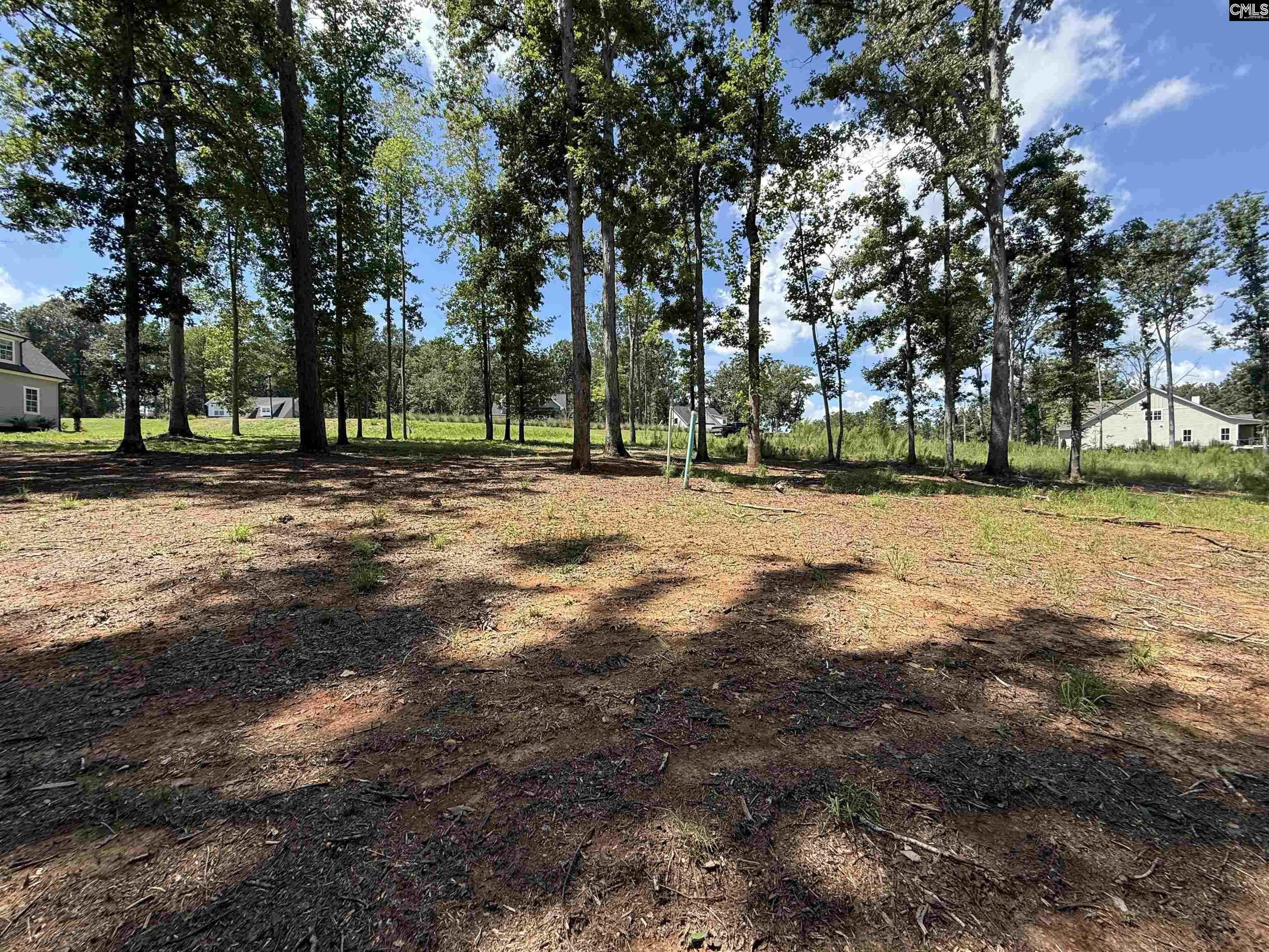 Lot 34 Shoreview Drive UNIT #34 Prosperity, SC 29127