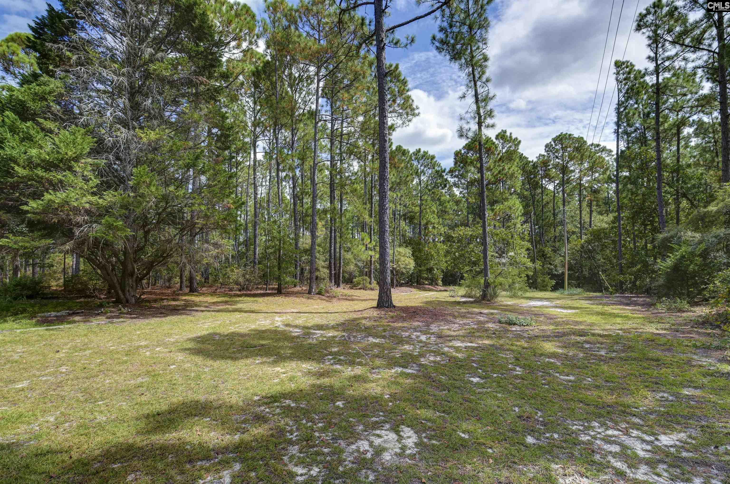 257 Rim Rock Road Gilbert, SC 29054-8532