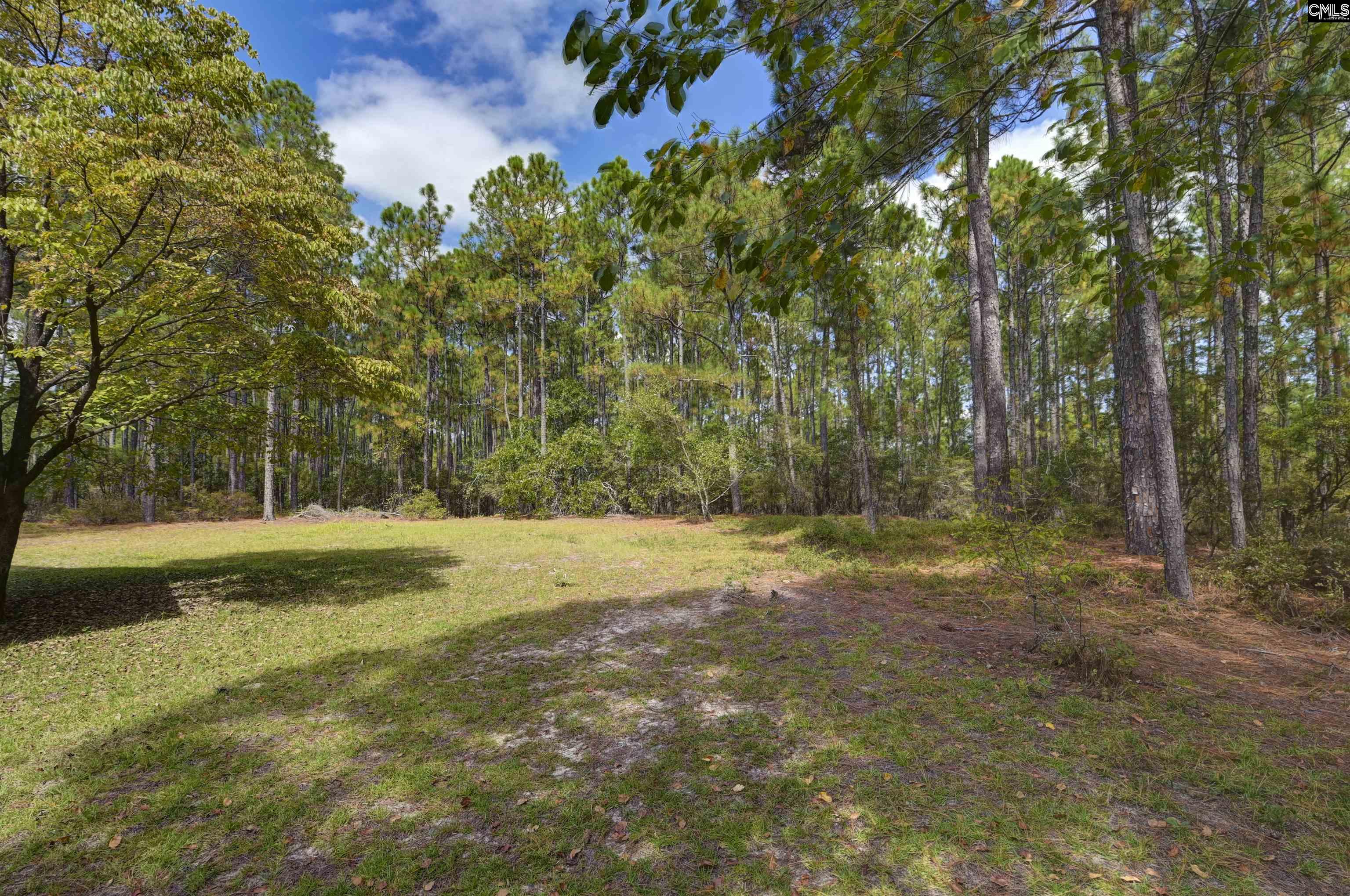 257 Rim Rock Road Gilbert, SC 29054-8532