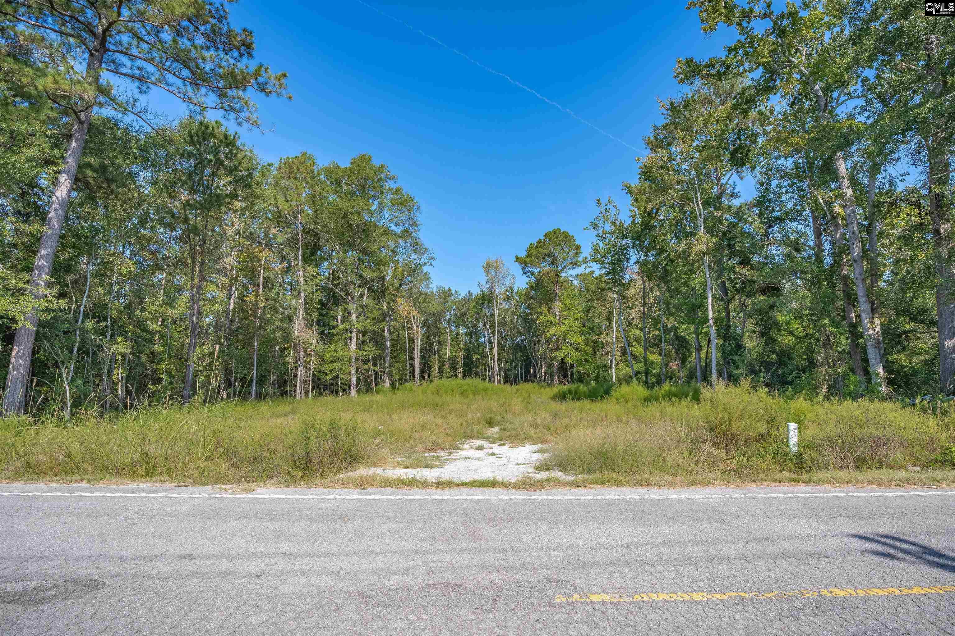 1532 Martin Luther King Boulevard Hopkins, SC 29061