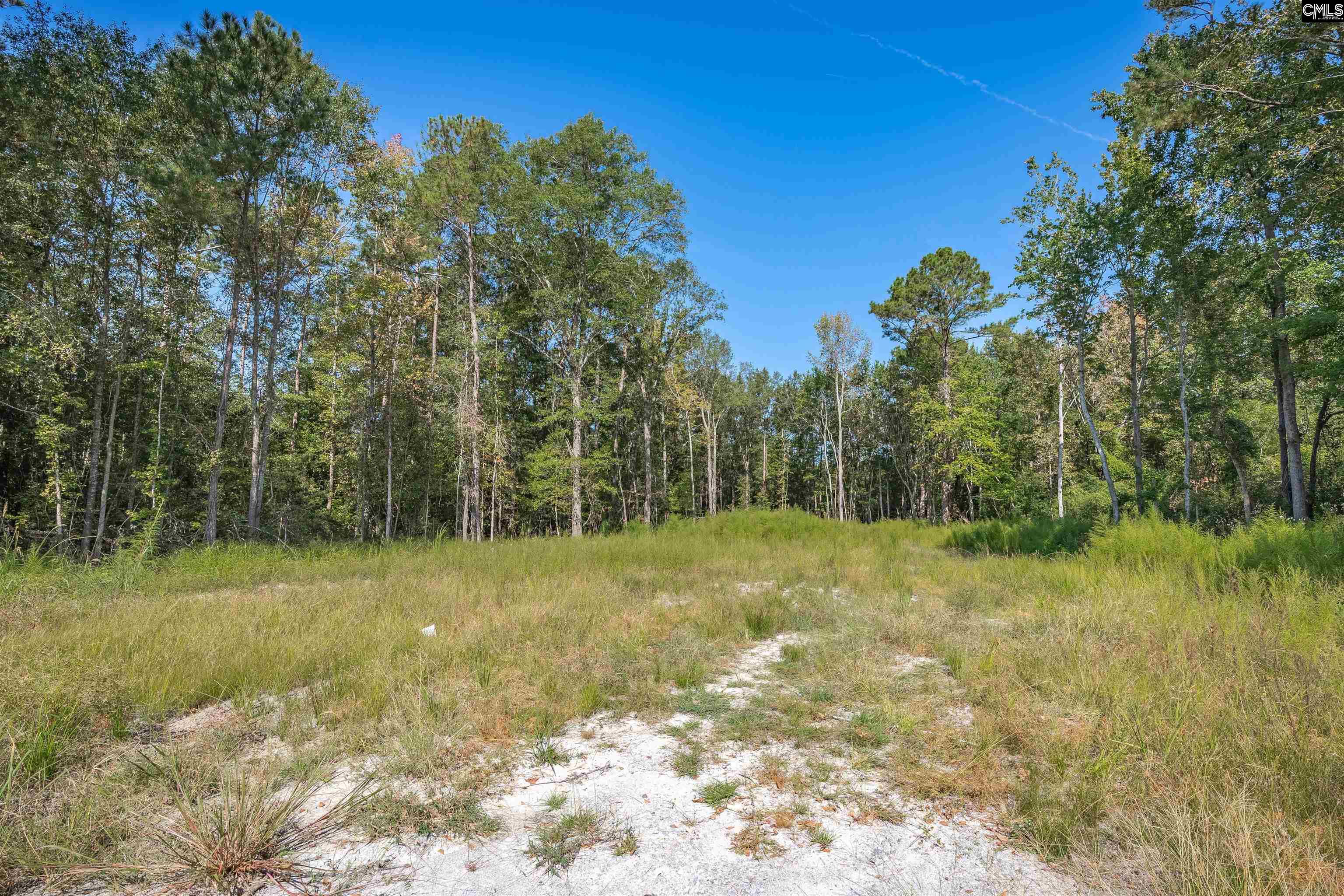 1532 Martin Luther King Boulevard Hopkins, SC 29061