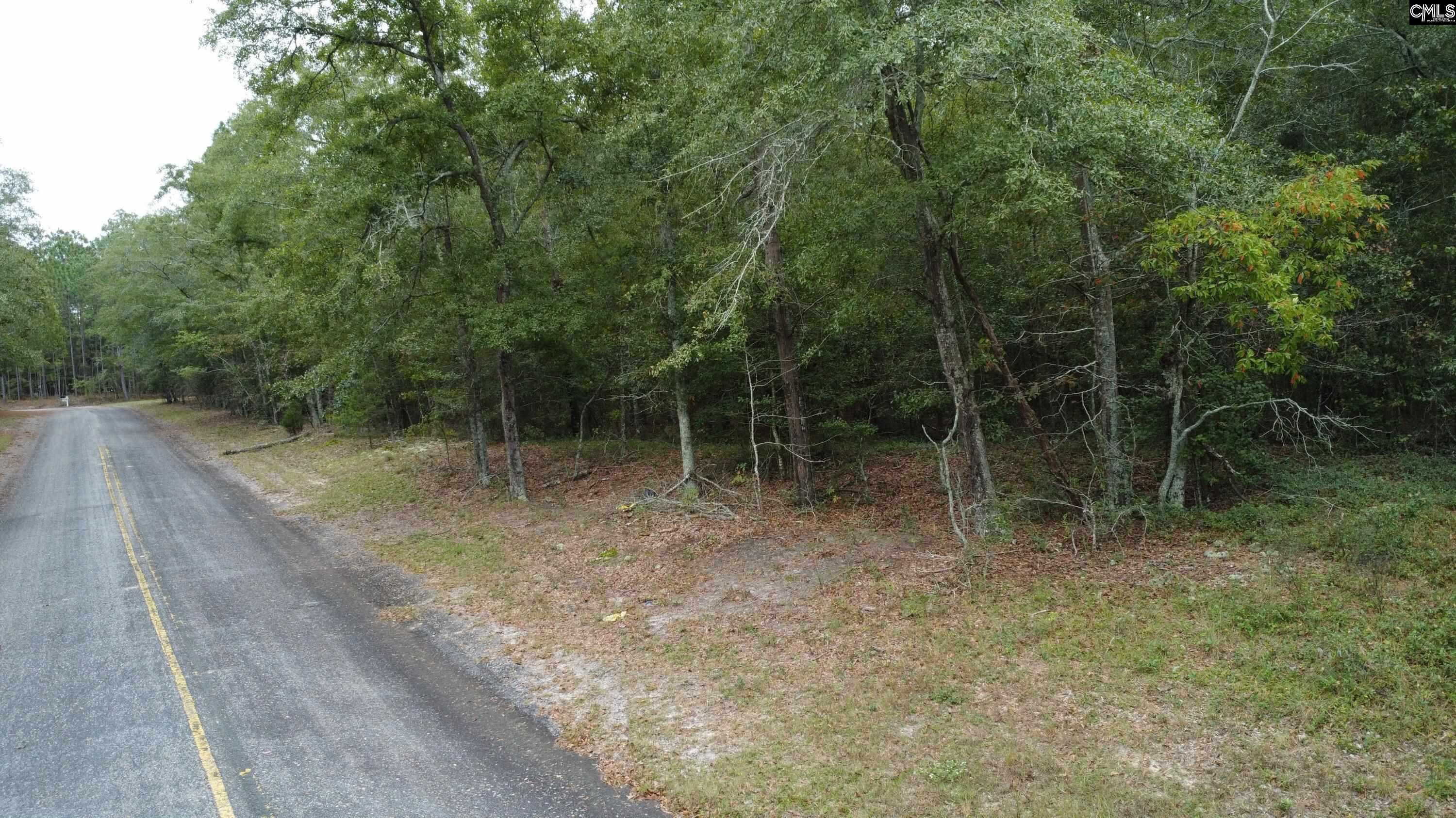 TBD Holiness Church Road Wagener, SC 29164