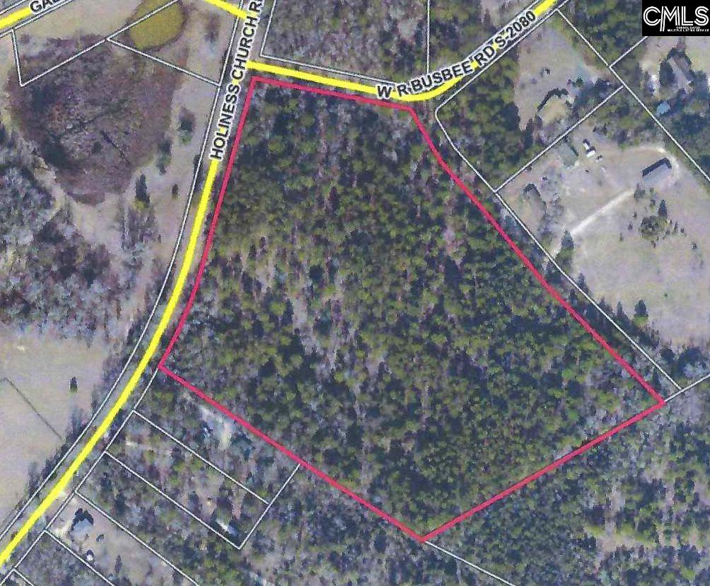 TBD Holiness Church Road Wagener, SC 29164