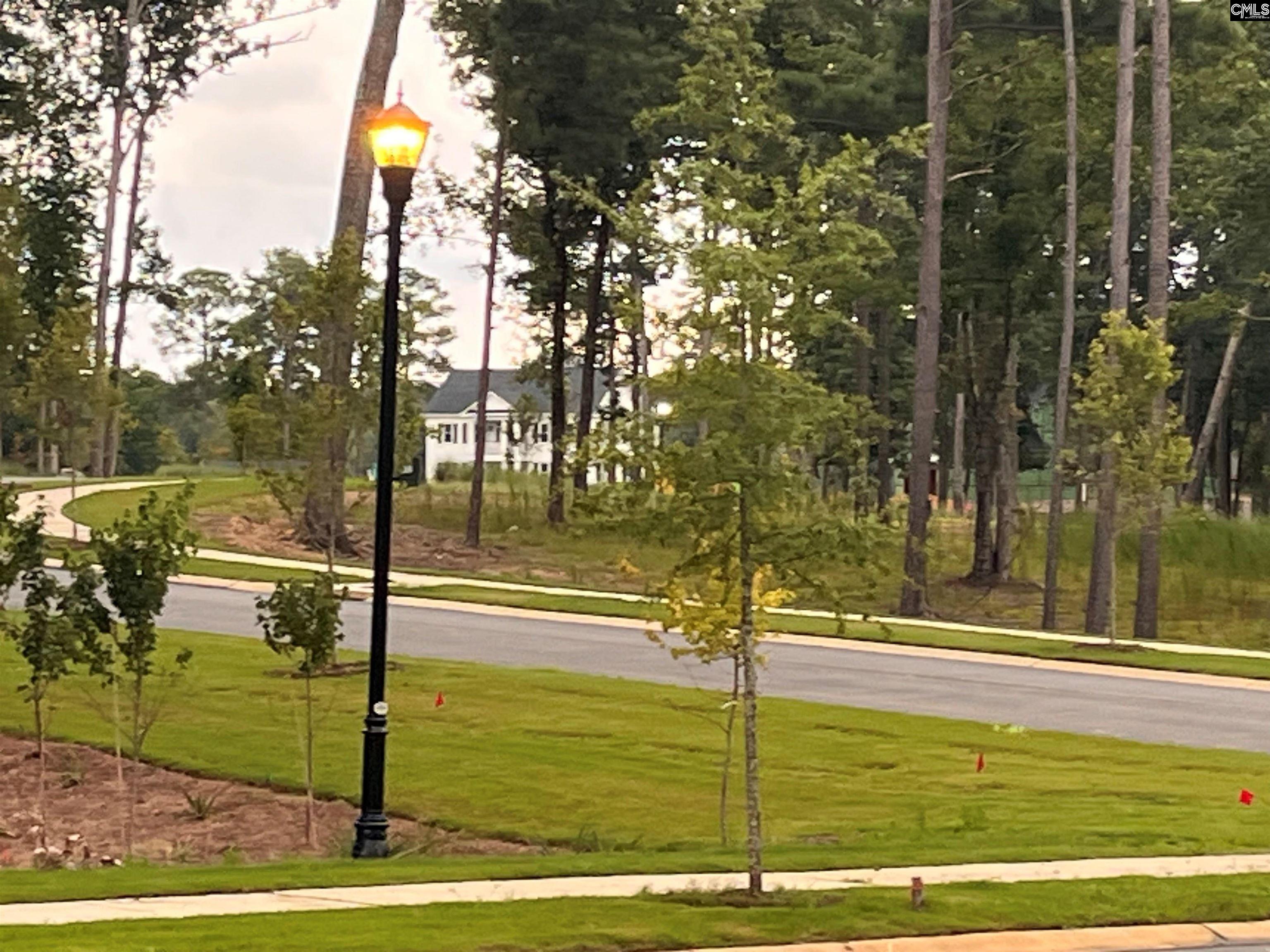 Lot 107 Timber Trail UNIT #107 Prosperity, SC 29127