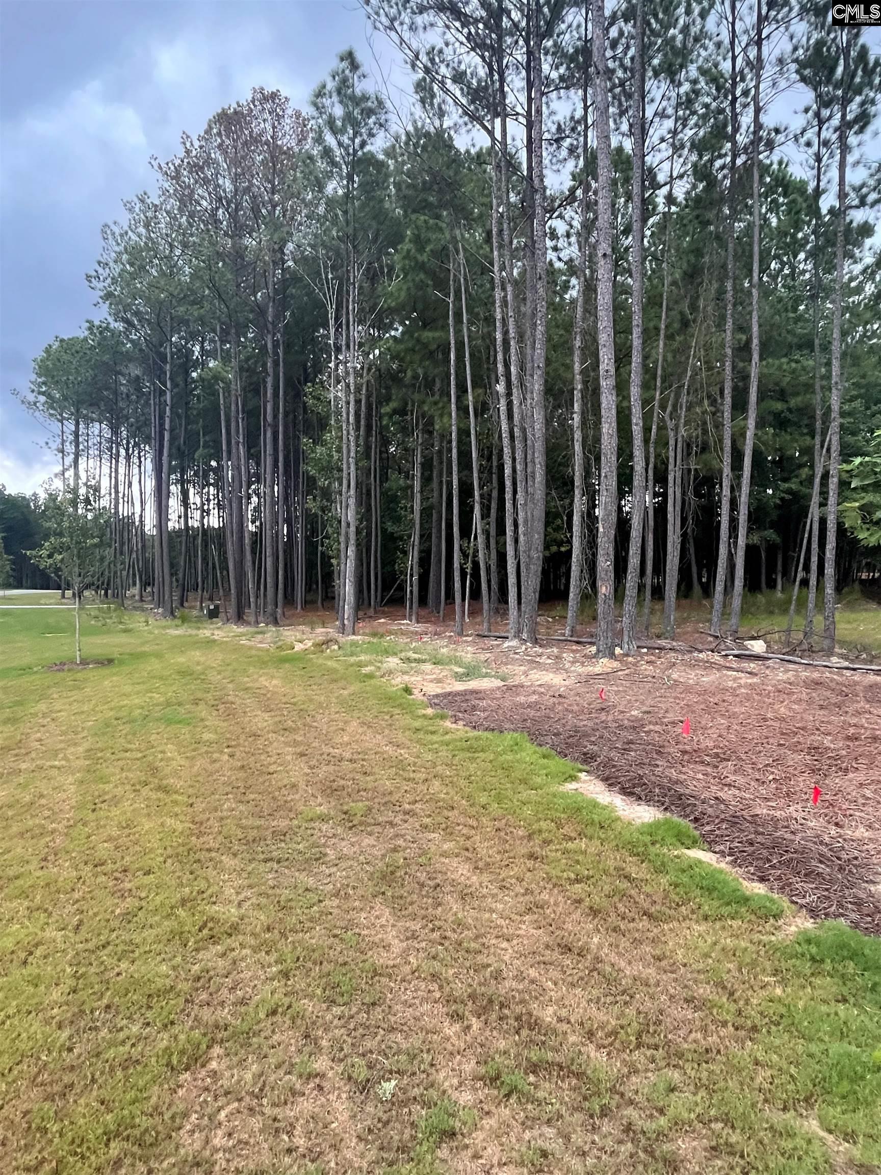 Lot 107 Timber Trail UNIT #107 Prosperity, SC 29127