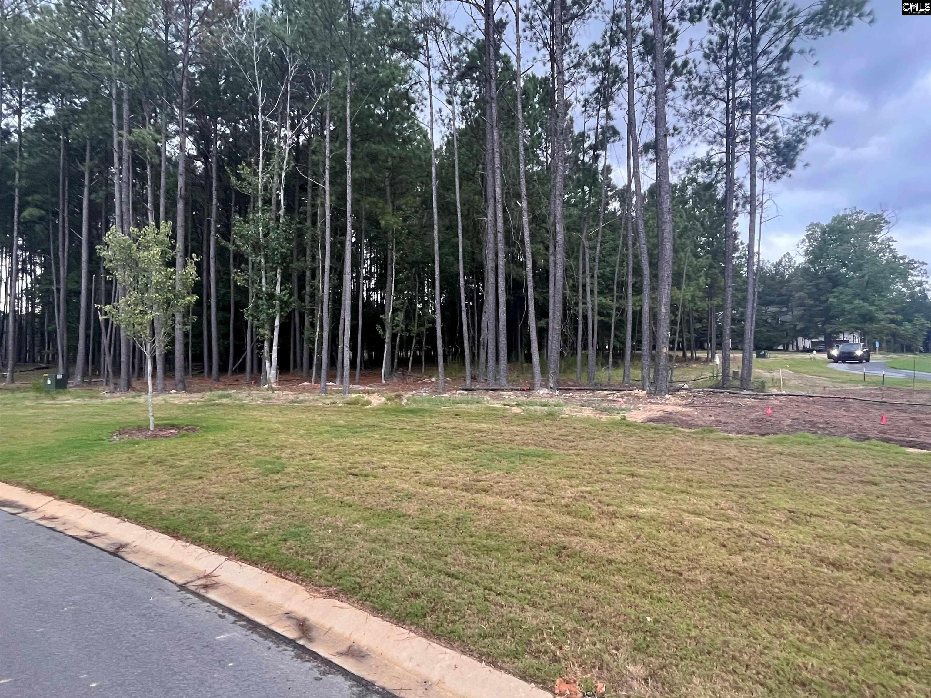 Lot 107 Timber Trail UNIT #107 Prosperity, SC 29127