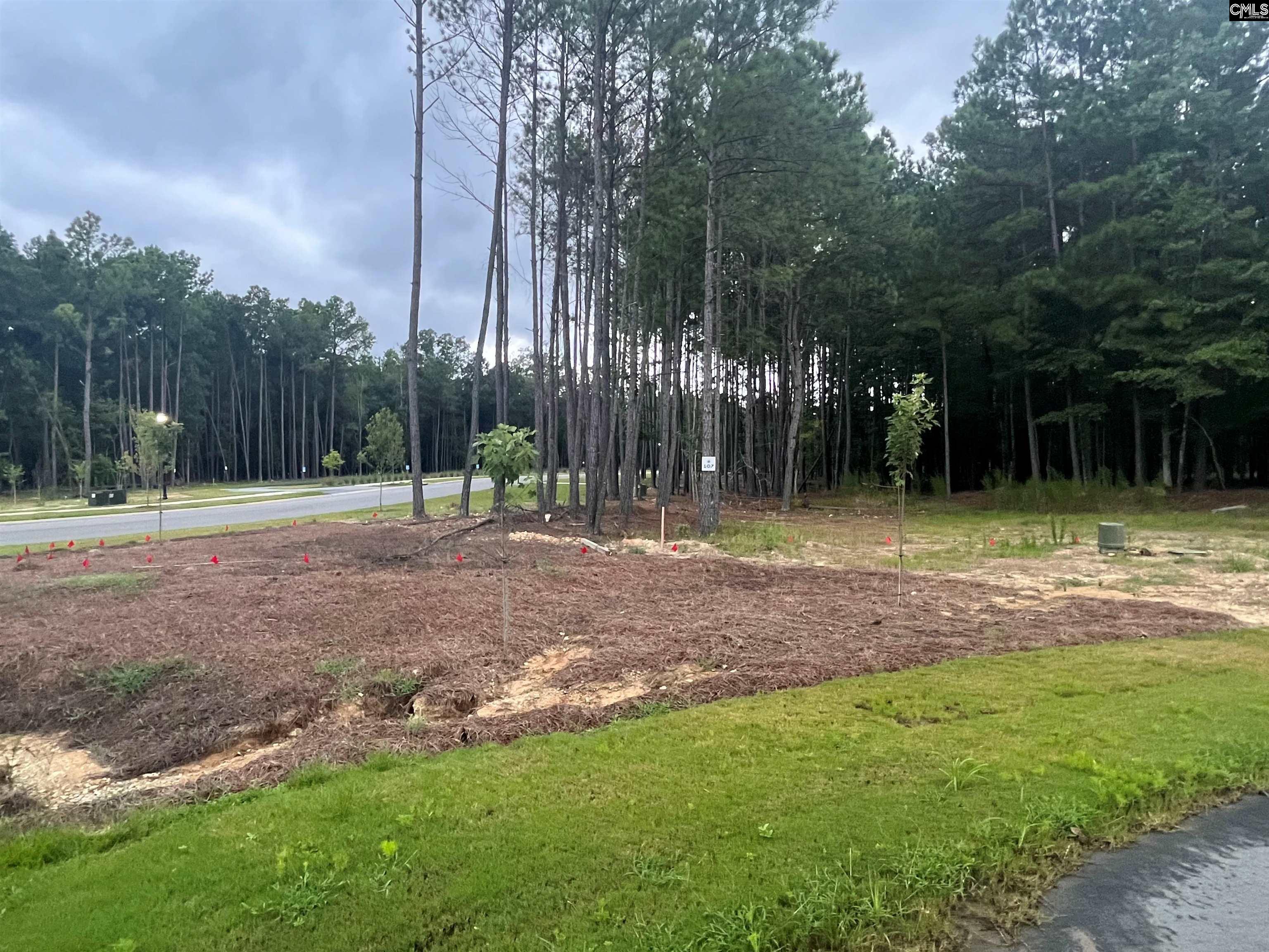 Lot 107 Timber Trail UNIT #107 Prosperity, SC 29127