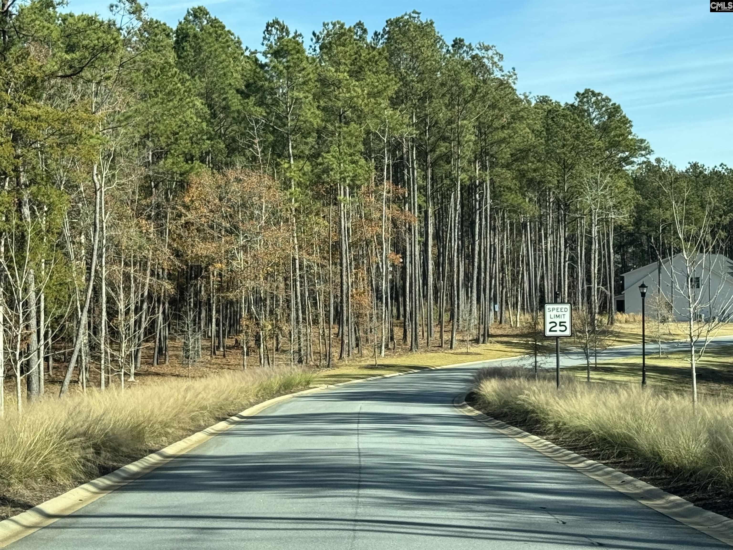 Lot 107 Timber Trail UNIT #107 Prosperity, SC 29127