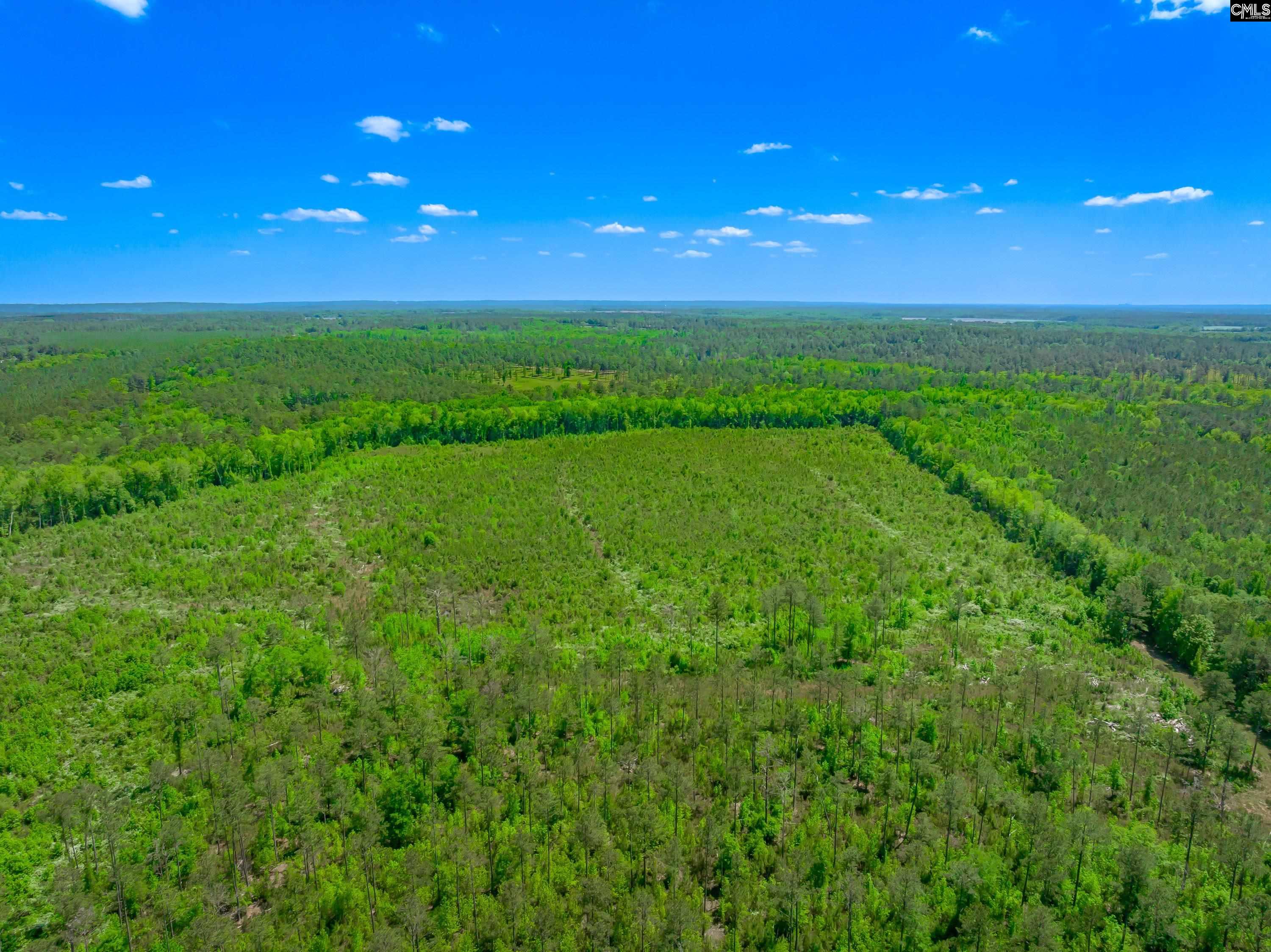 377 Sweet Street UNIT Lot 6 Rembert, SC 29128