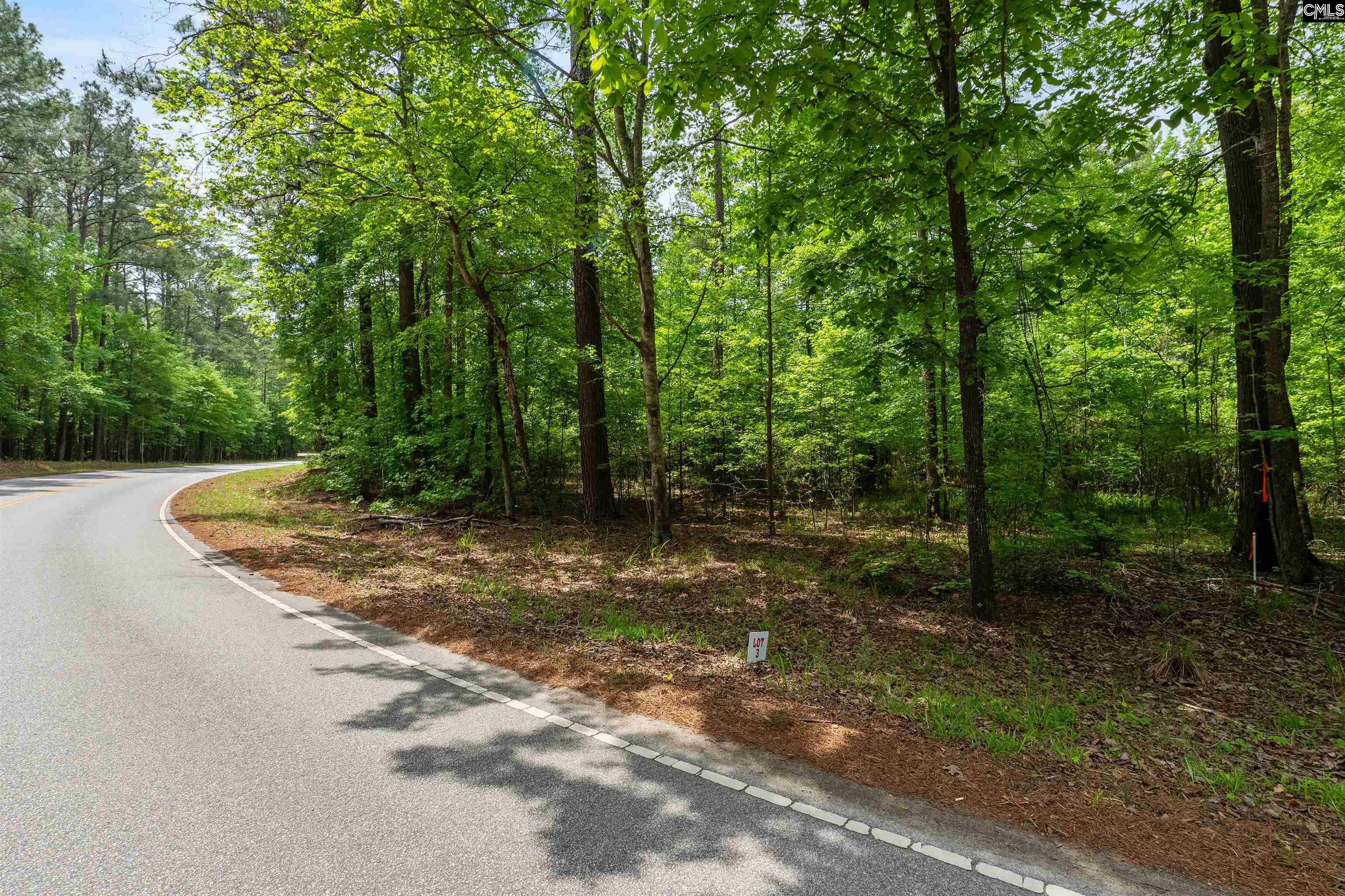 1427-3 Buck Hill Landing Road UNIT Lot 3 Ridgeway, SC 29130