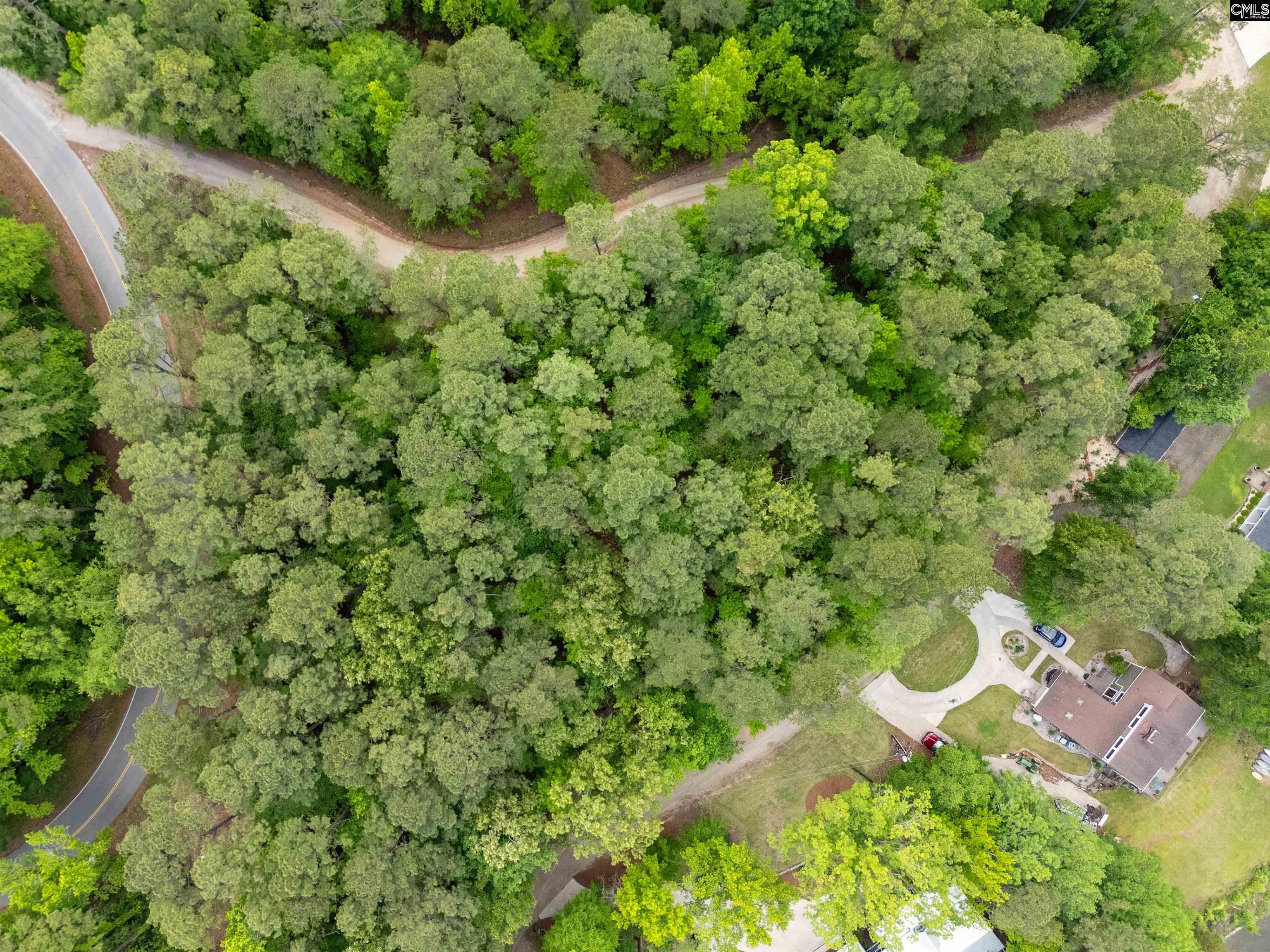 1427-3 Buck Hill Landing Road UNIT Lot 3 Ridgeway, SC 29130