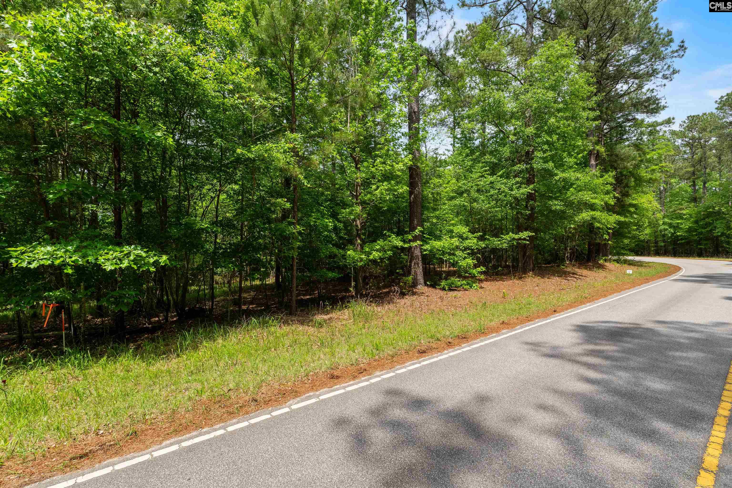 1427-3 Buck Hill Landing Road UNIT Lot 3 Ridgeway, SC 29130