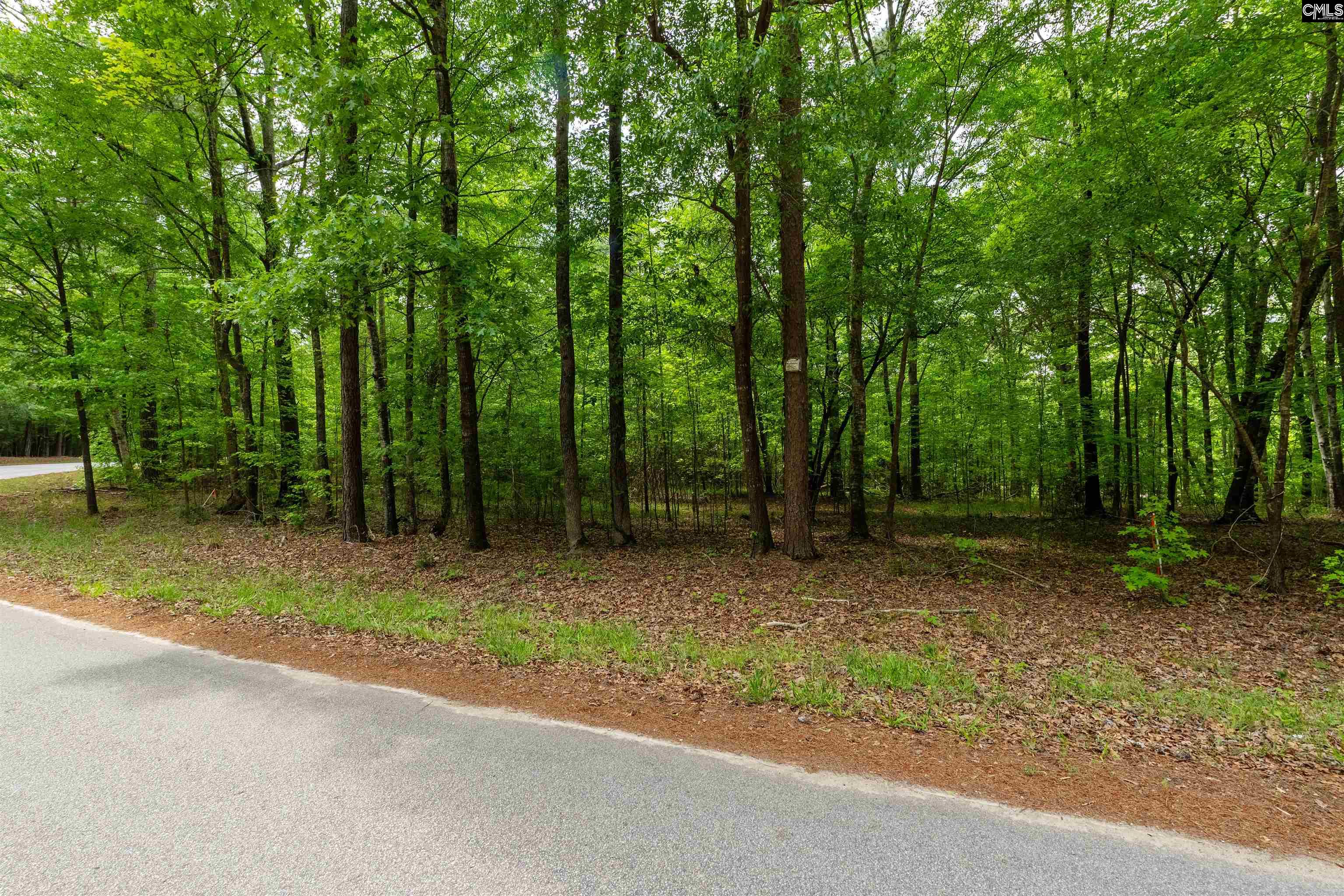 1427-3 Buck Hill Landing Road UNIT Lot 3 Ridgeway, SC 29130