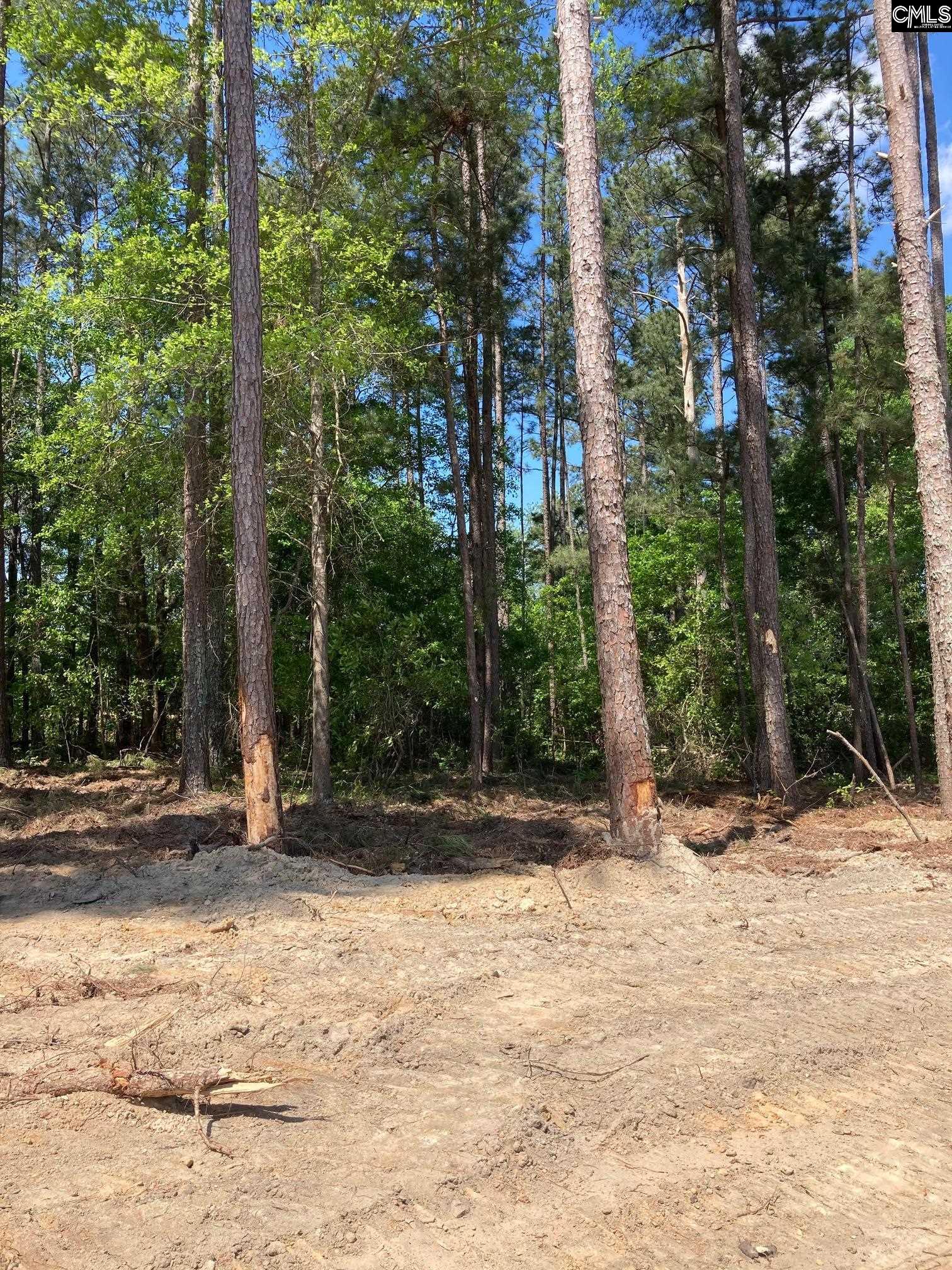 10735 Wilson Boulevard Blythewood, SC 29016