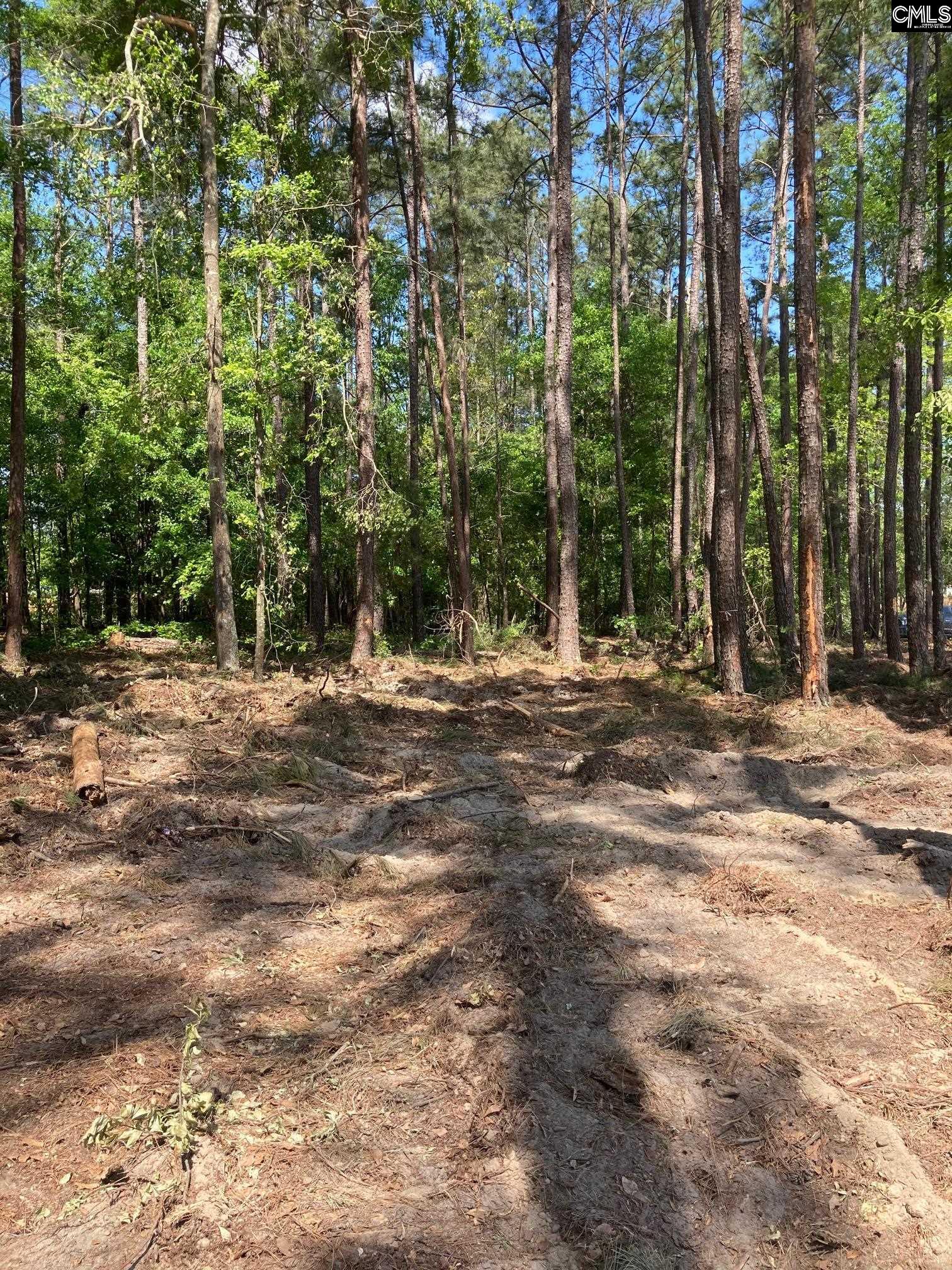 10735 Wilson Boulevard Blythewood, SC 29016
