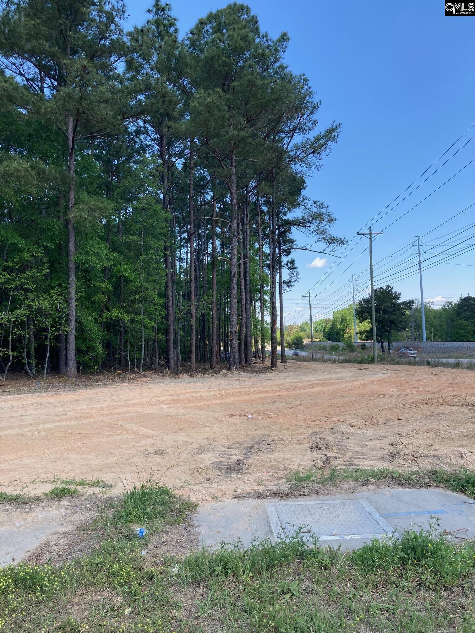 10735 Wilson Boulevard Blythewood, SC 29016