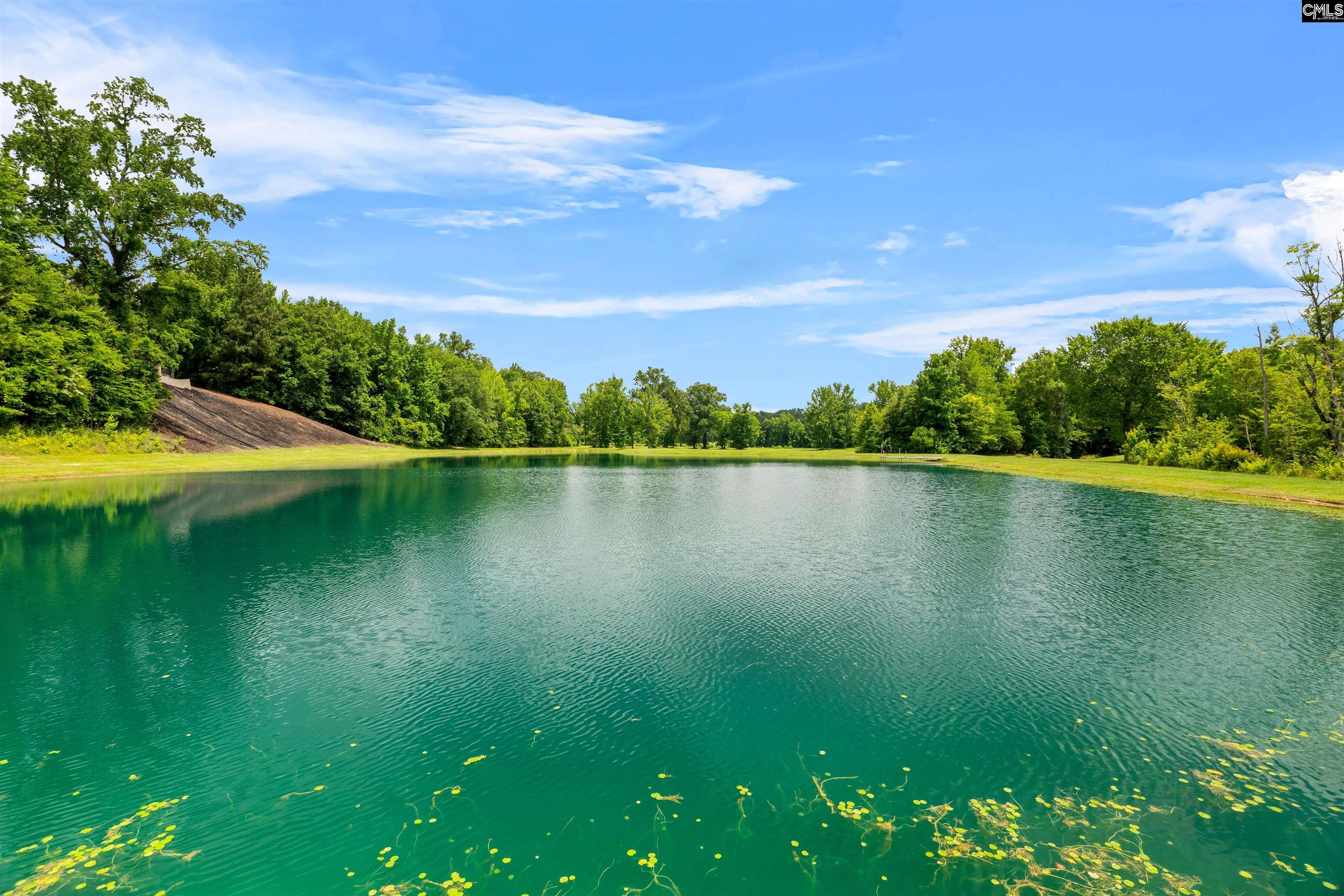 1608 Ridgeway Road Lugoff, SC 29078