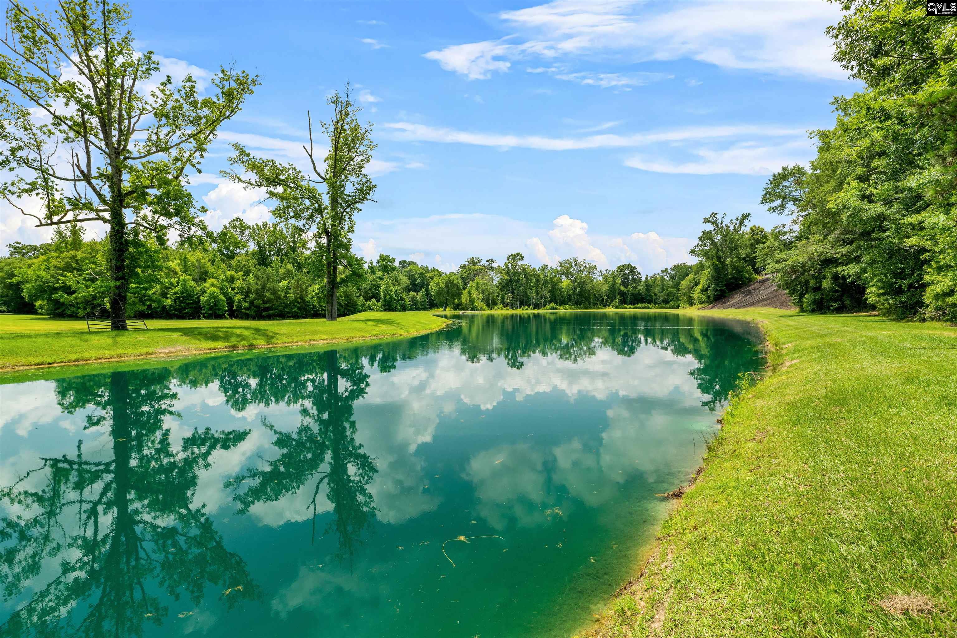 1608 Ridgeway Road Lugoff, SC 29078