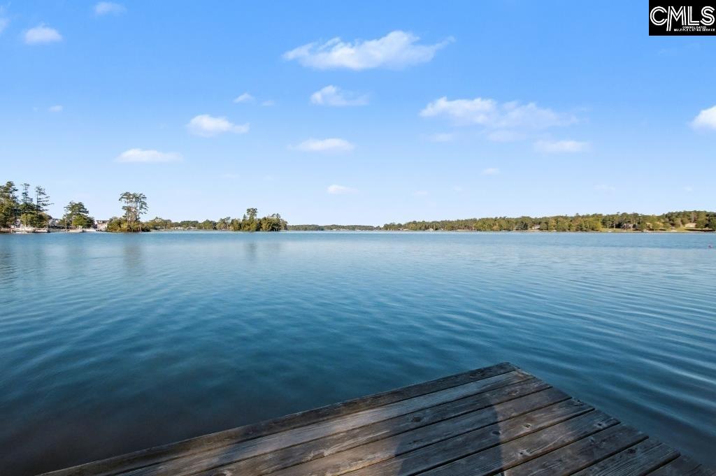 1091 Lake Drive Leesville, SC 29070