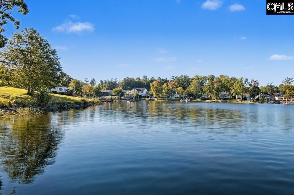 1091 Lake Drive Leesville, SC 29070
