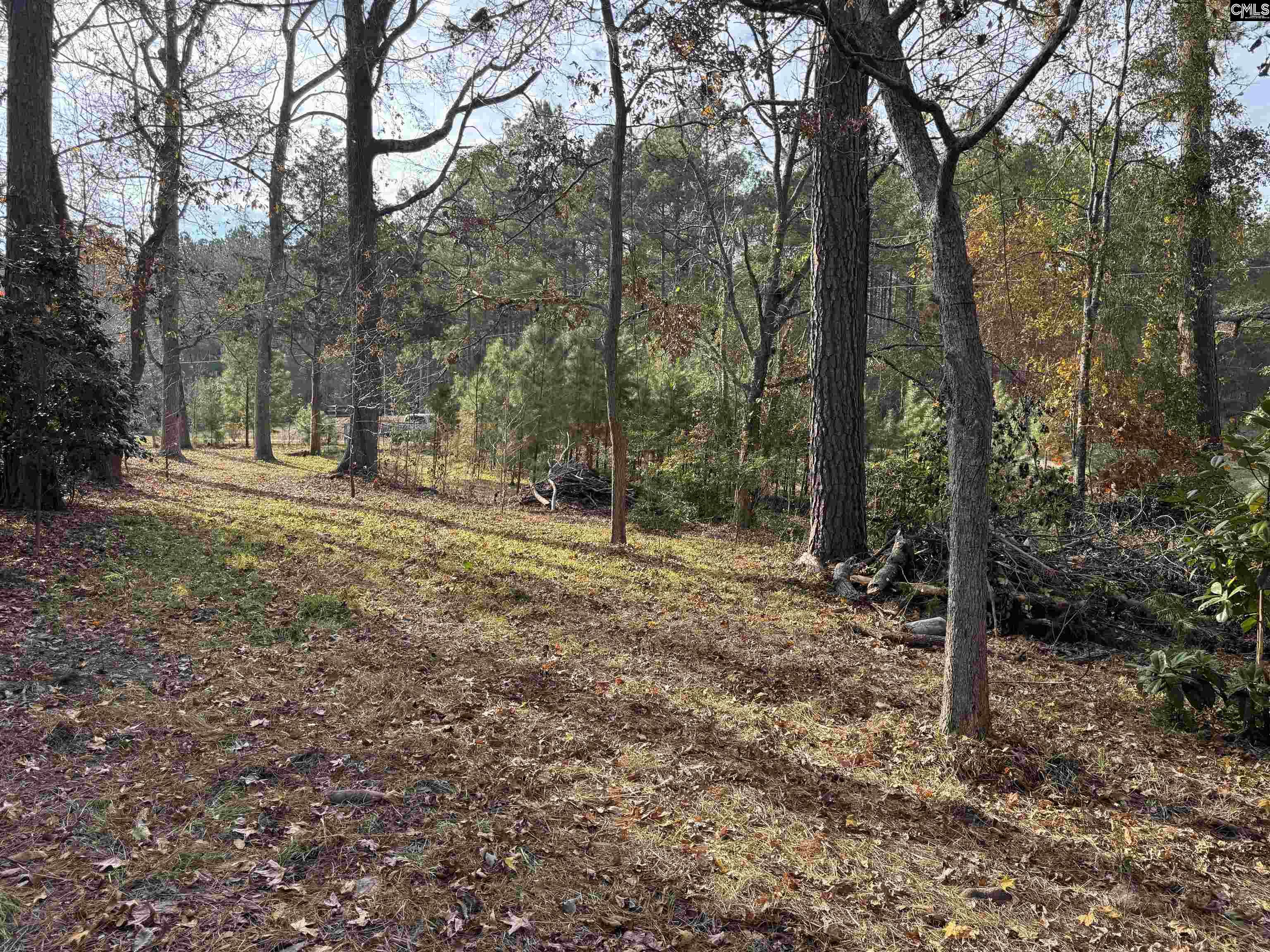 1403 Westshore Ridgeway, SC 29130
