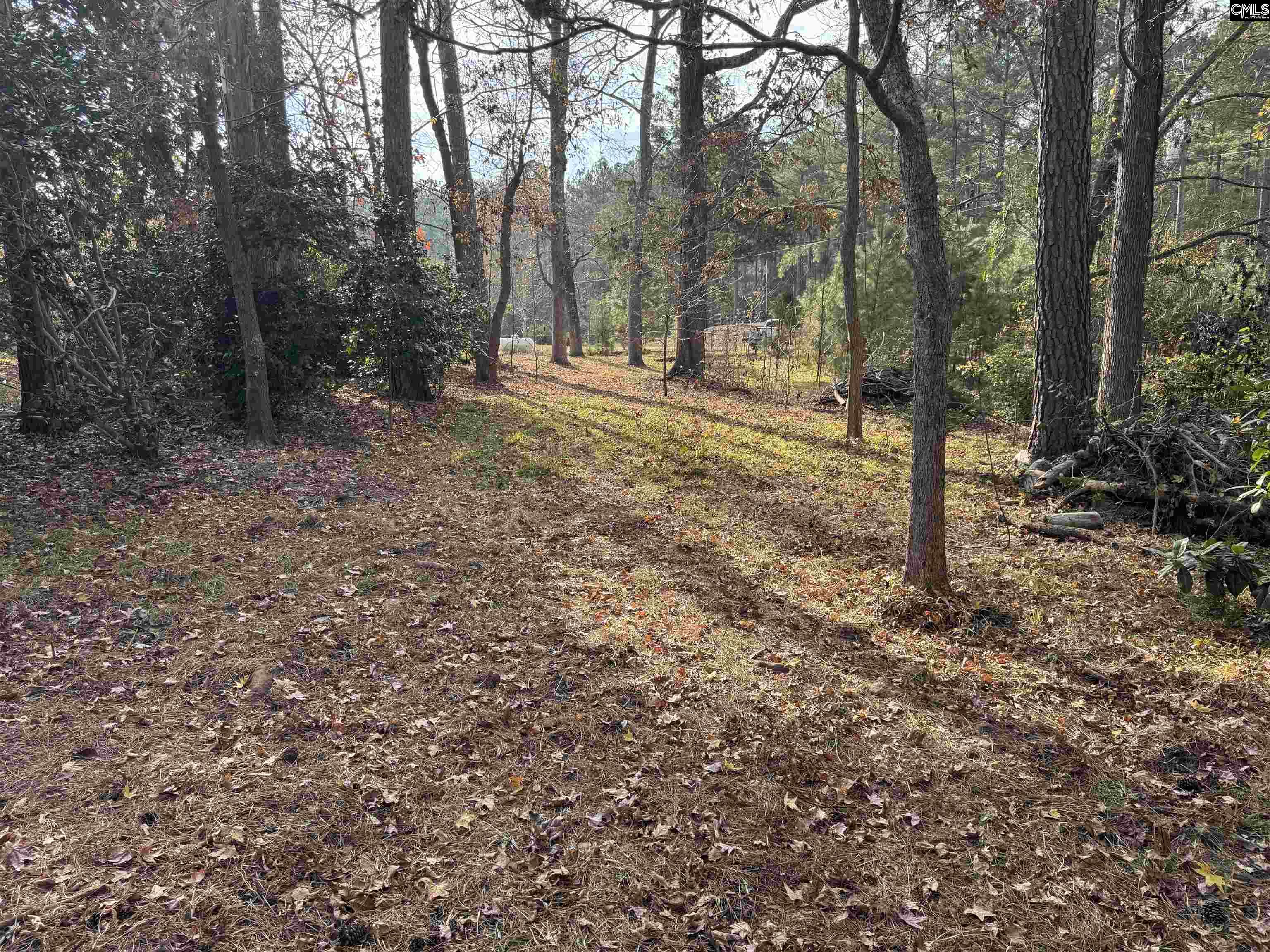 1403 Westshore Ridgeway, SC 29130