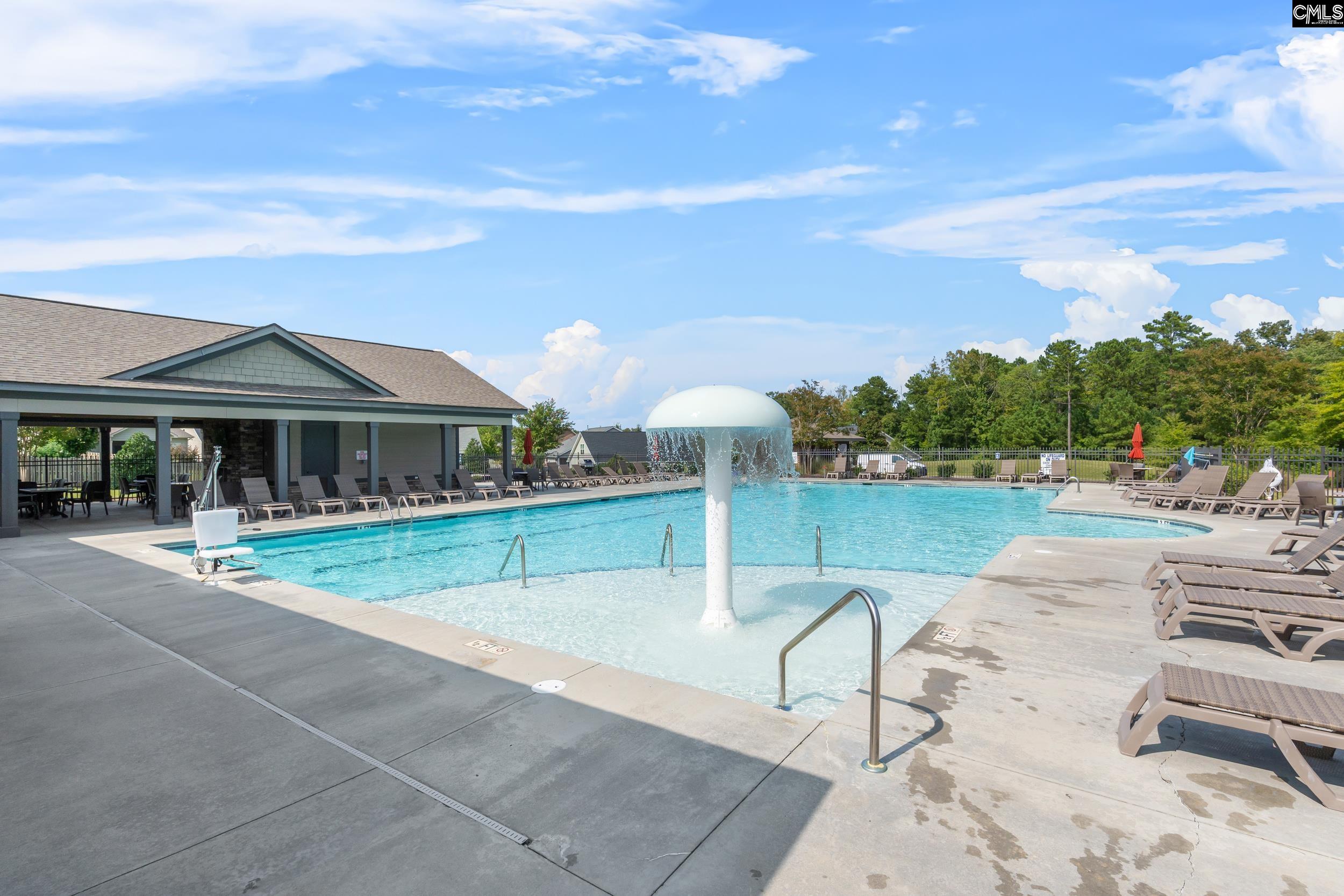 814 Dutchmaster Drive Chapin, SC 29036