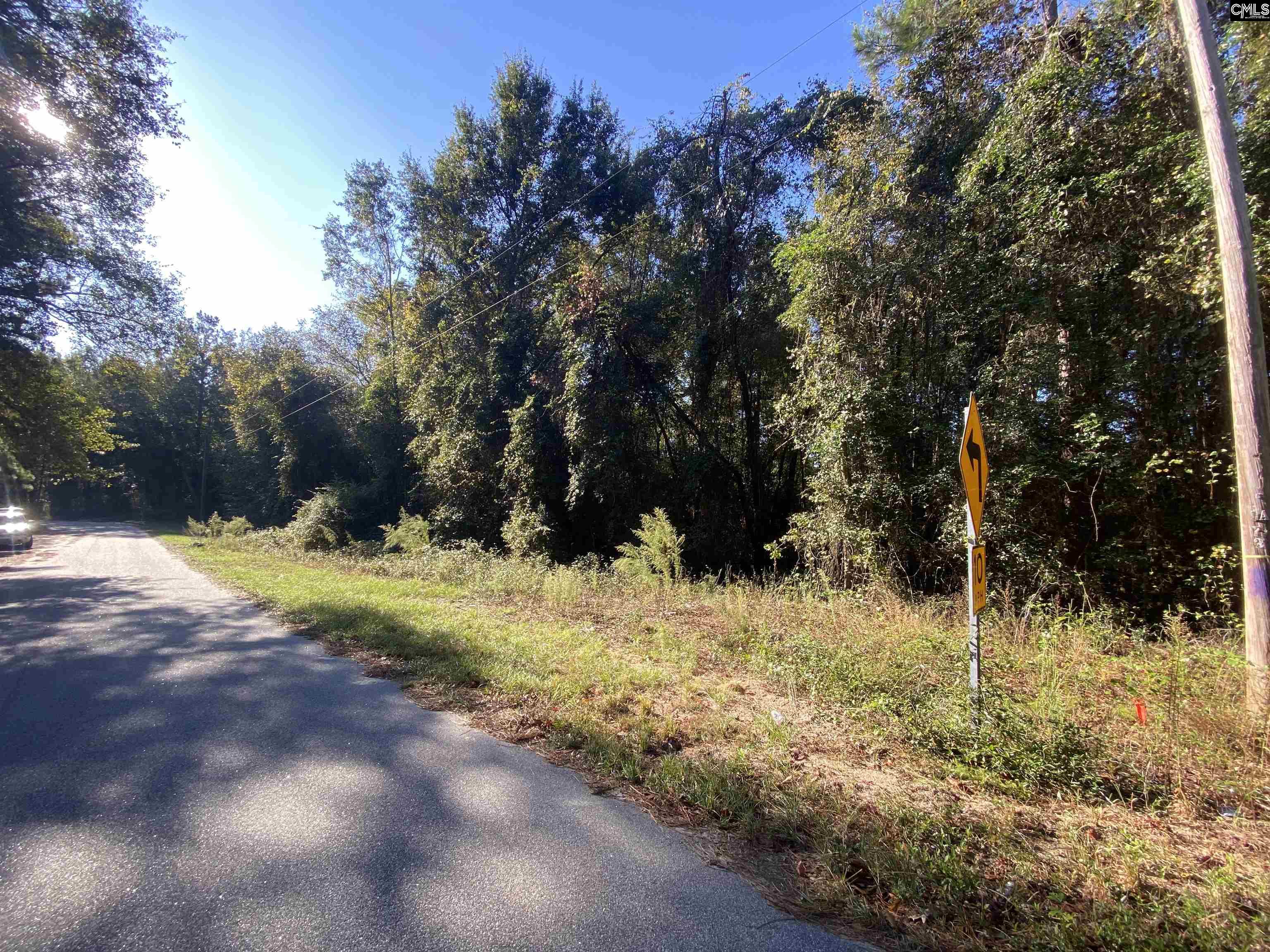 119 Pine Drive Bethune, SC 29009-0000