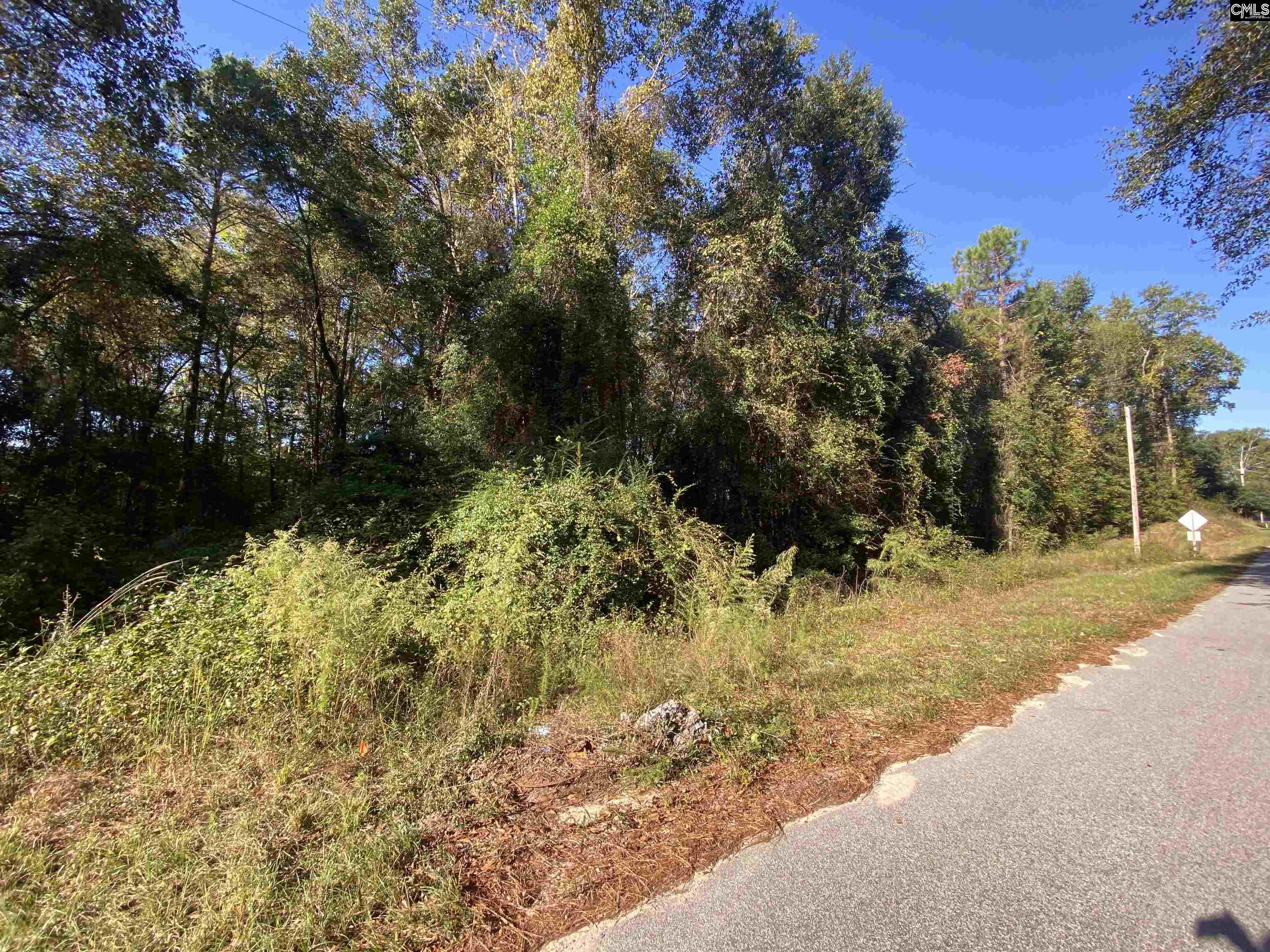 119 Pine Drive Bethune, SC 29009-0000