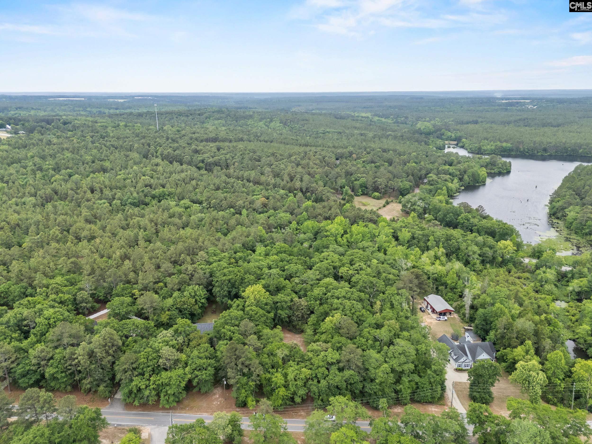 132 Forts Pond Road Pelion, SC 29123