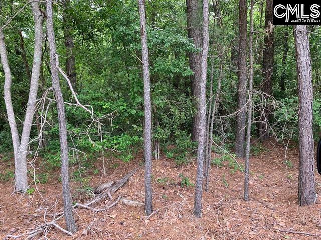 436 Peach Festival Road Gilbert, SC 29054