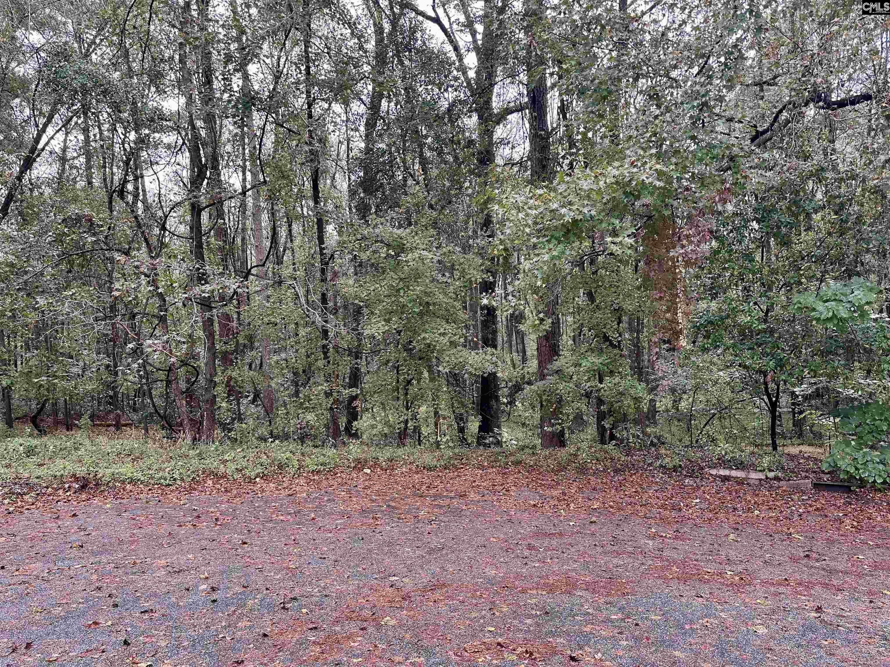 Creek Bottom Drive UNIT 71A Cayce, SC 29033