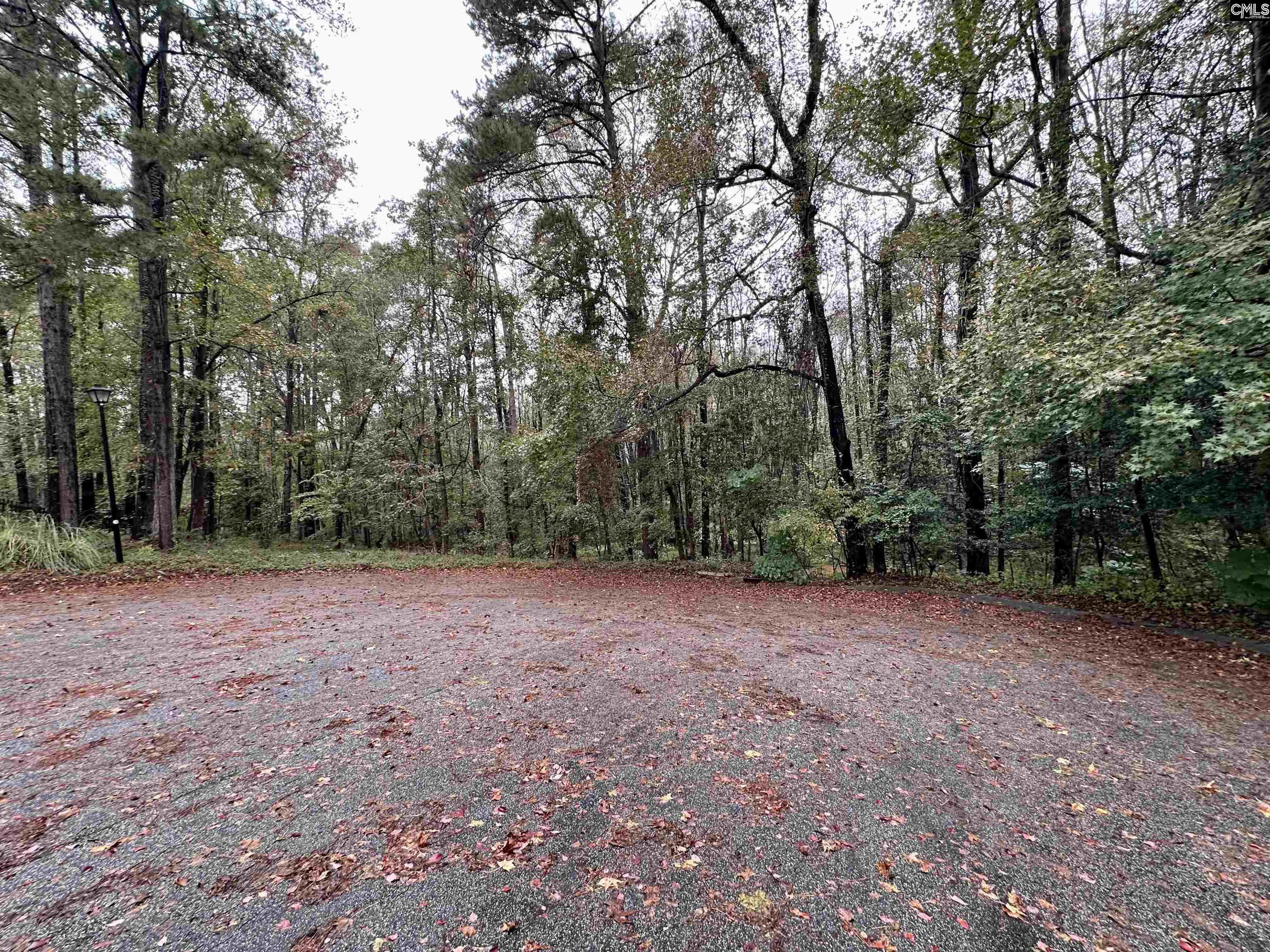 Creek Bottom Drive UNIT 71A Cayce, SC 29033