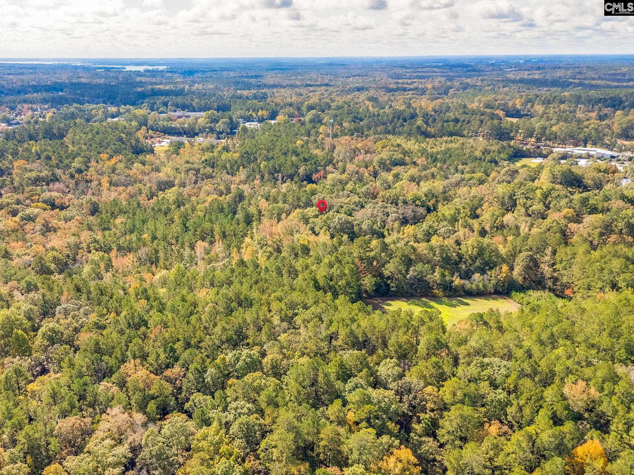 220 Courtland Road Chapin, SC 29036